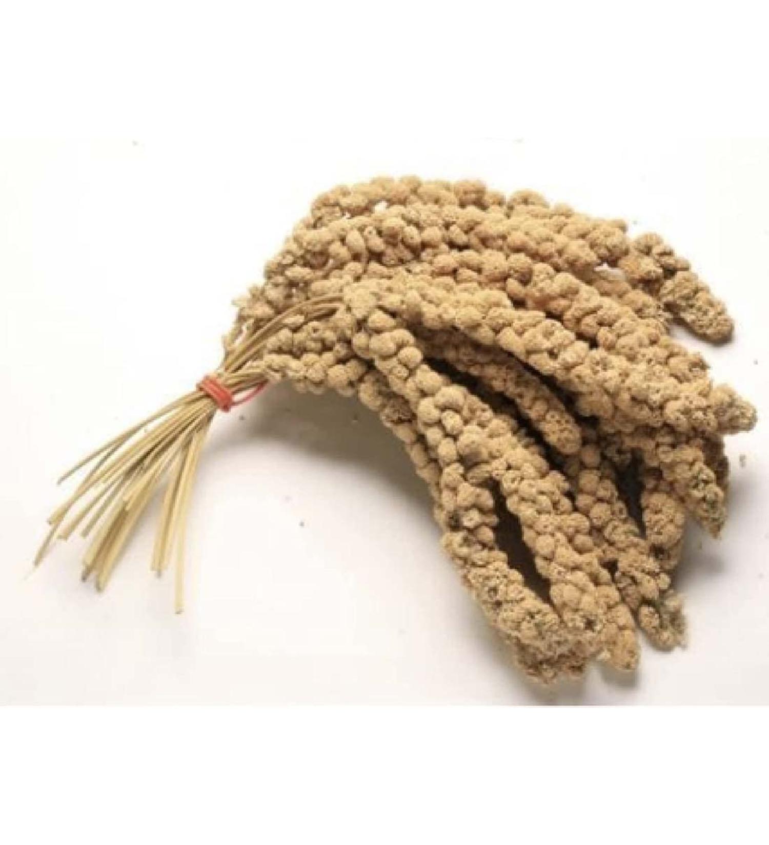 MILLET SPRAYS 1Kg PREMIUM AVIARY BIRD FOOD - Buy Online on GoSupps.com