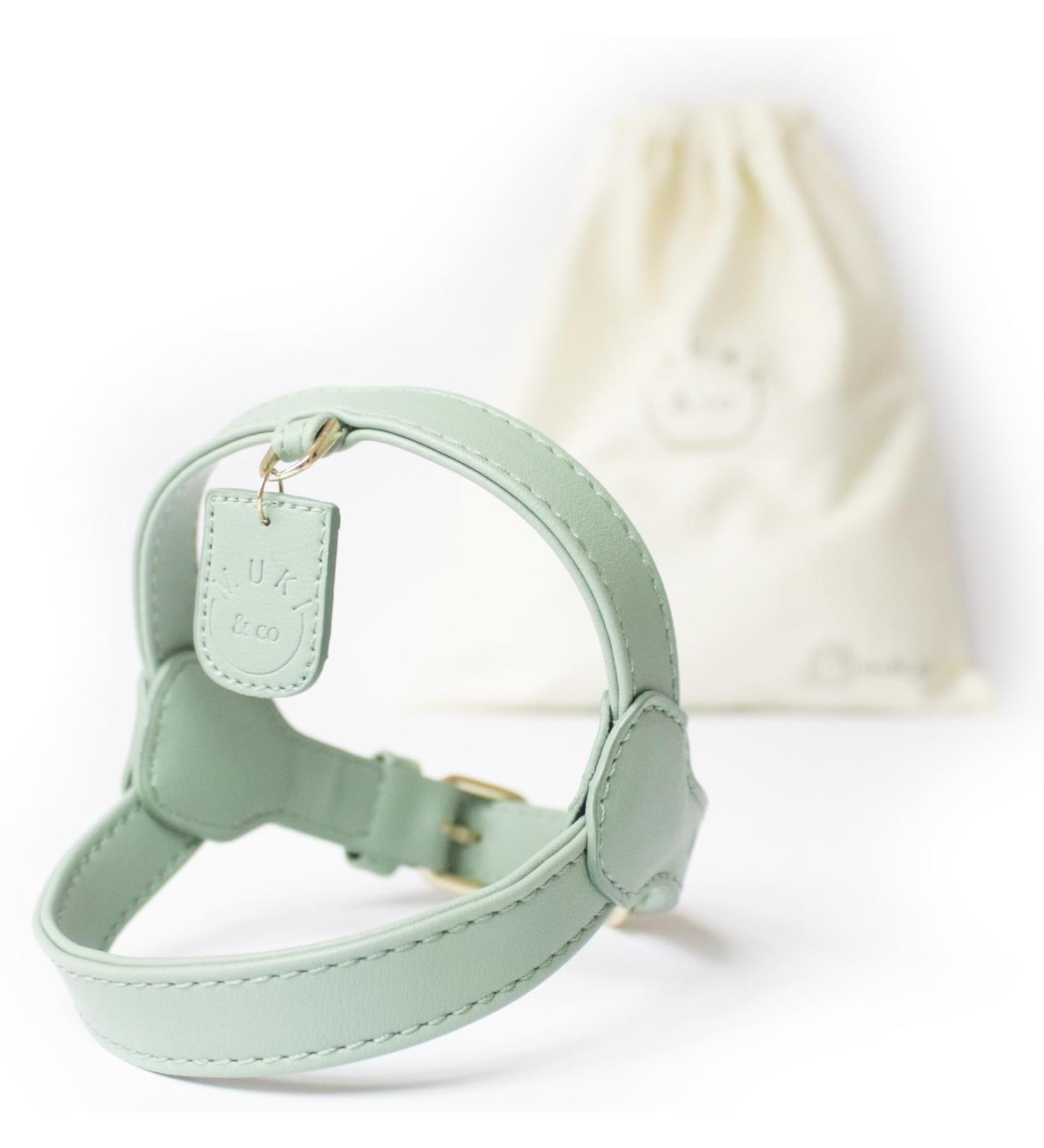Muki & Co Adjustable Double Dog Dishes - Safe & Comfortable for Extra Small Small & Medium Dogs - Mint Green XS (44-50 cm) - Buy Online on GoSupps.com