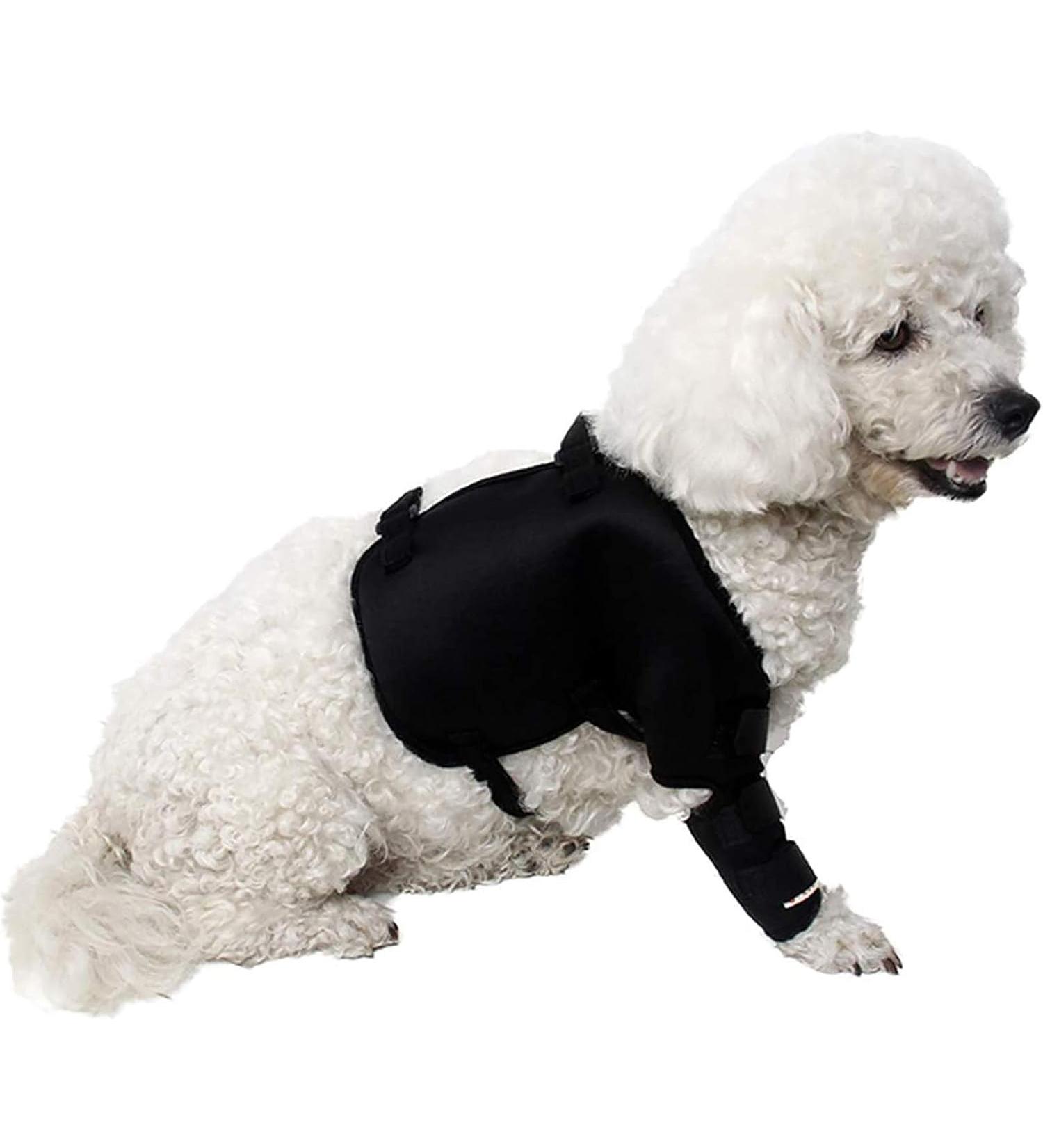 VEraiz Black Dog Knee Support Pet Knee Injury Postoperative Recovery Aids Pet Brace Heals and Prevent Injuries for Loss of Stability from Arthritis (Front Left S) Front Left S - Buy Online on GoSupps.com
