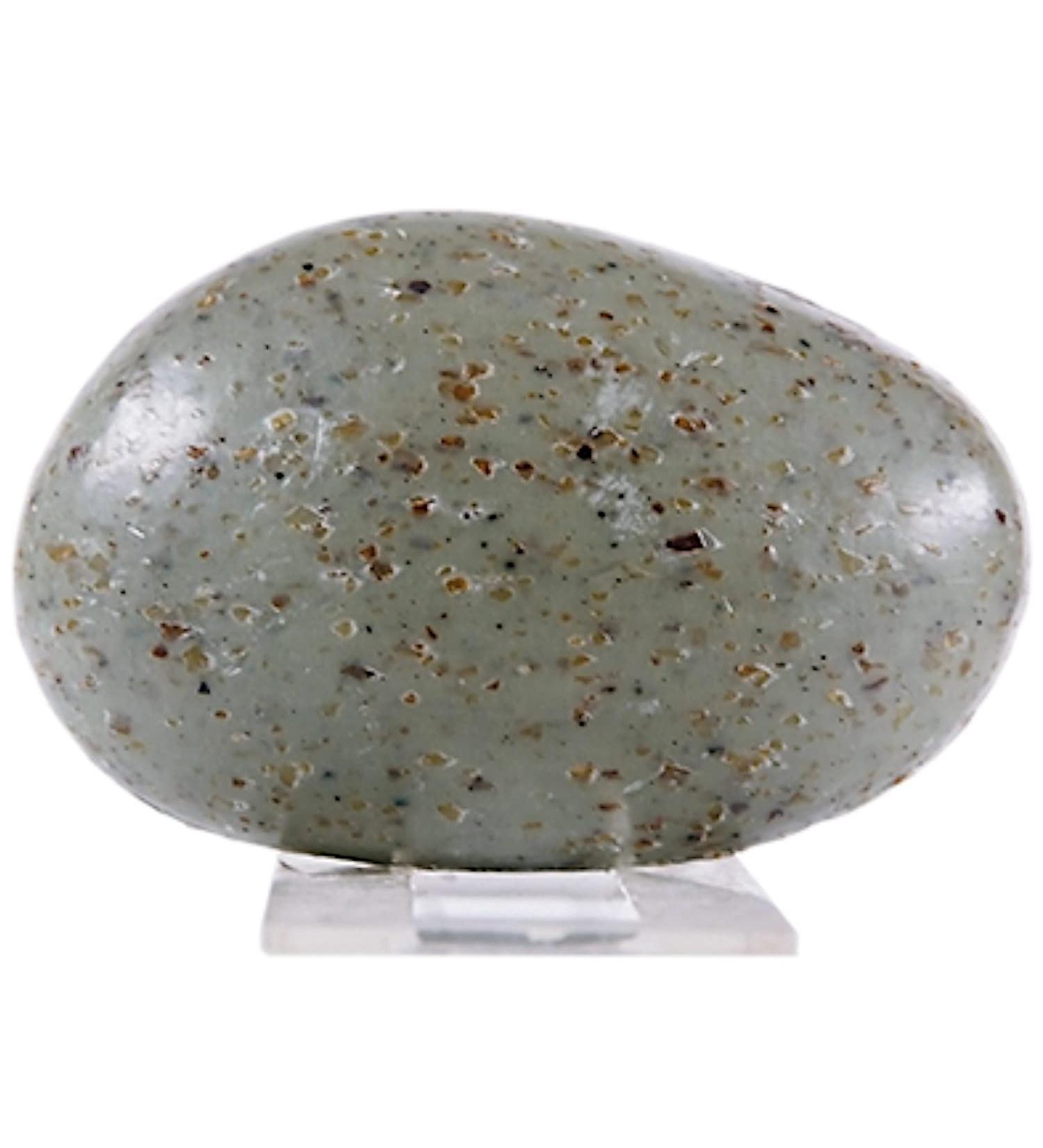 Organic Exfoliating Soap Body & Face with Marine Algae and Green Clay Natural Scrub Soap Certified and Certified Organic by Ecocert Passion Marine 100 g - Buy Online on GoSupps.com