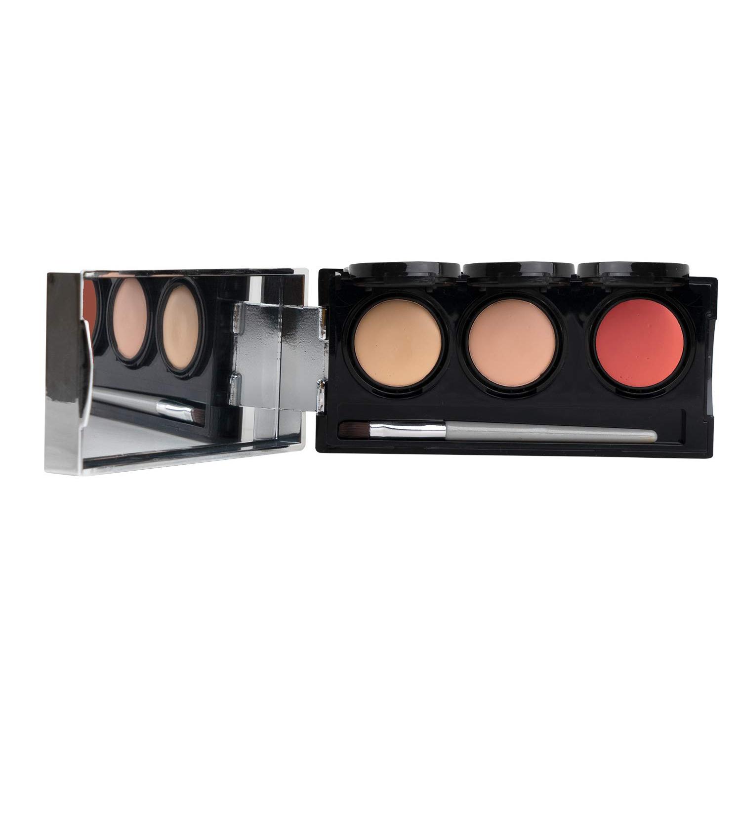 Tattoo Cover Up Makeup  Bruise Concealer  Waterproof  Smudge proof  3 colors + brush  by Dermaflage  6.9g/.24oz Fair - Buy Online on GoSupps.com