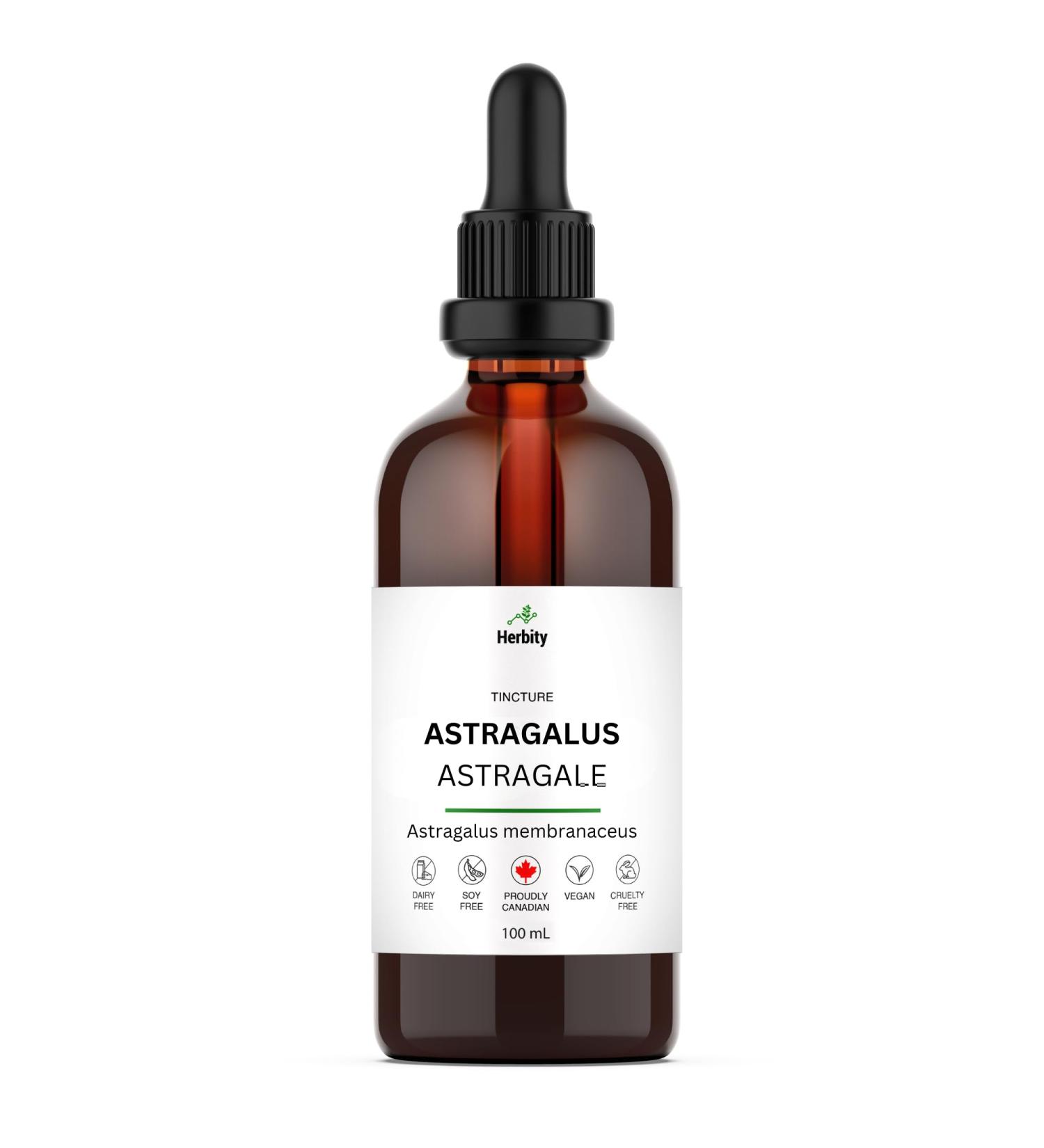 Astragalus Herbal Tincture Liquid Extract Hand Crafted Natural Medicine Remedies Herb Formula Drops Non-GMO Vegan Gluten Free No Fillers (Astragalus membranaceus) (100mL 3.4oz) 100 ml (Pack of 1) - Buy Online on GoSupps.com