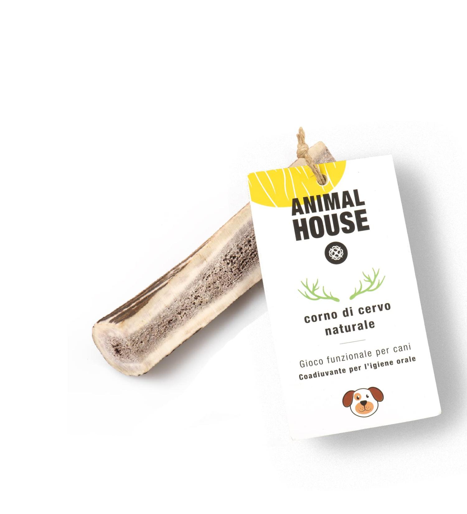 Animal House - shared deer antler for dogs - 100% natural causnack - mouth hygiene - resistant and durable - available in all sizes (XS) XS 1 piece (1 Pack)