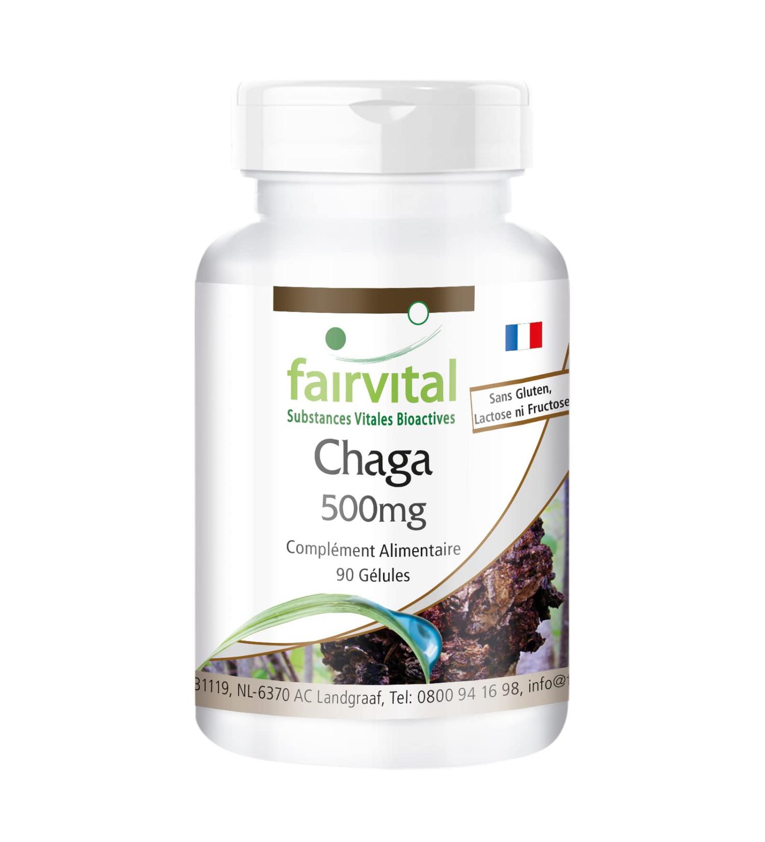 Fairvital | Chaga 500mg VEGAN - High dosed - 90 capsules - Inonotus obliquus - mushroom powder - Buy Online on GoSupps.com