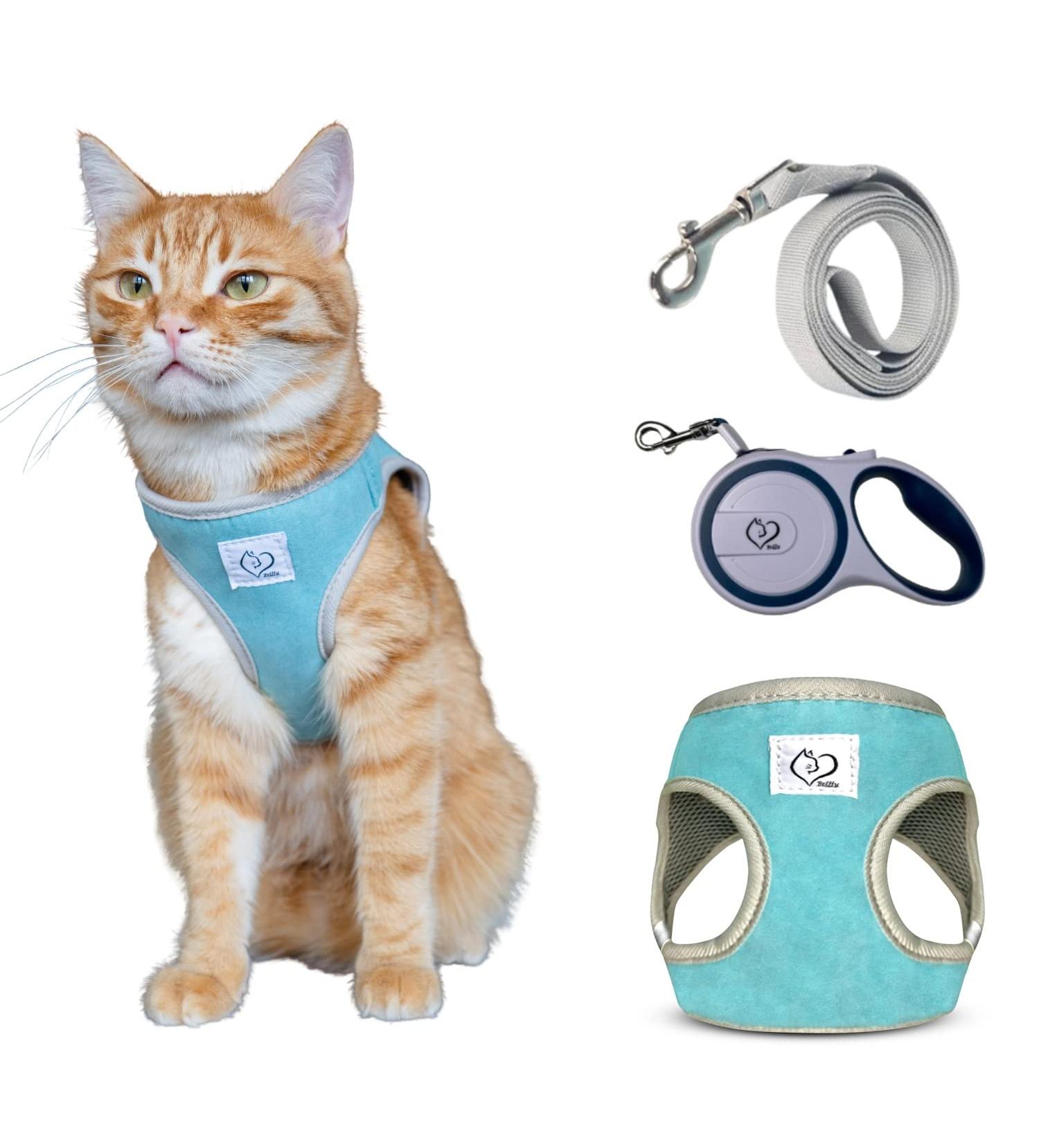 Belffy Cat Dishes & Leash Set - Automatic Leash for Cats Kittens & Dogs | Outbreak-Proof Jacket for All Sizes - Small Blue - Buy Online on GoSupps.com