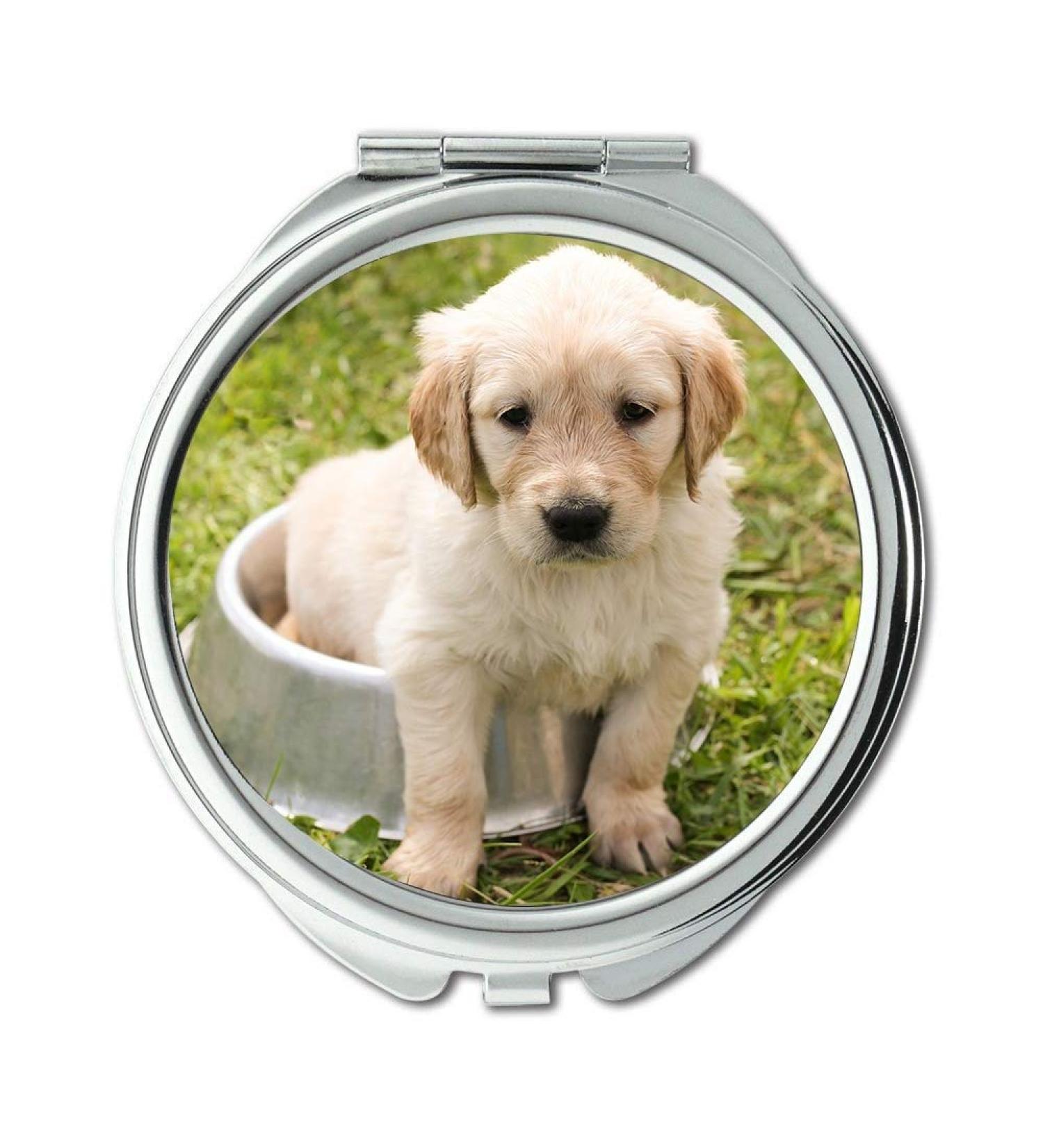 Mirror Travel Mirror Puppy Golden Retriever Dog In The Free Young Pet Pocket Mirror portable mirror - Buy Online on GoSupps.com