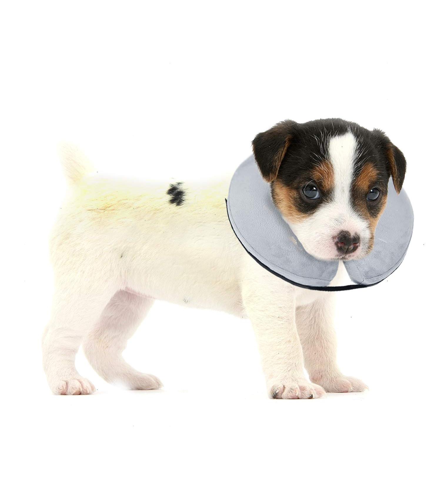 Bencmate Inflatable Dog & Cat Recovery Ruff - Leak Protection Collar for Wounds | Small Gray (Neck 5-8) - Buy Online on GoSupps.com