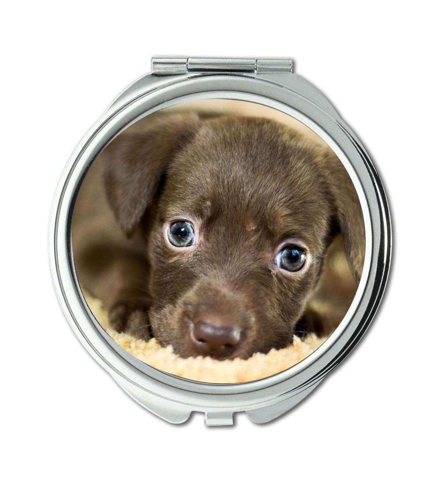 Mirror makeup mirror Dog Adoption Home Adopted Dog Lost Dog Mutts Pet Pocket Mirror portable mirror - Buy Online on GoSupps.com