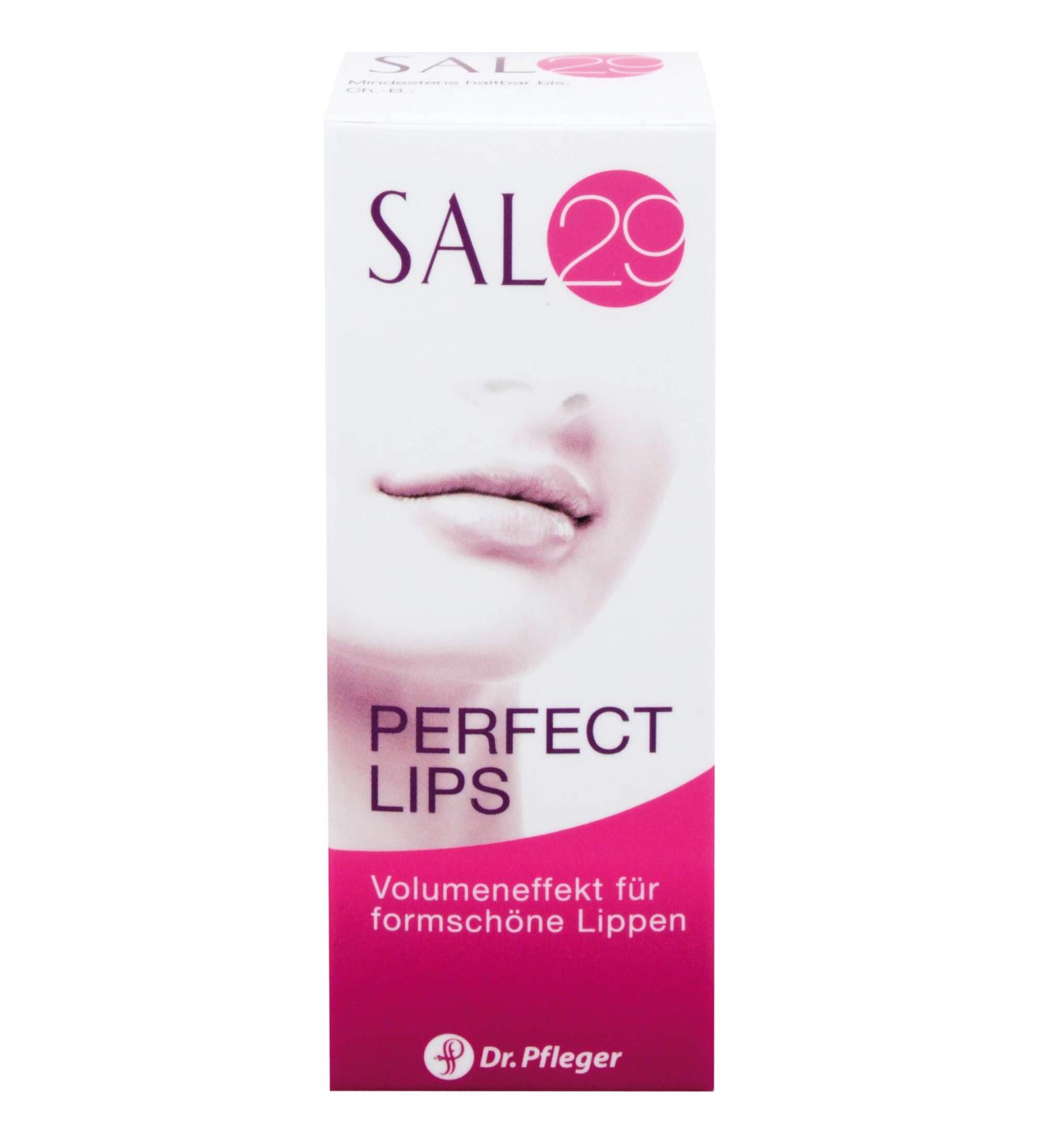 Sal 29 Perfect Lips 4g