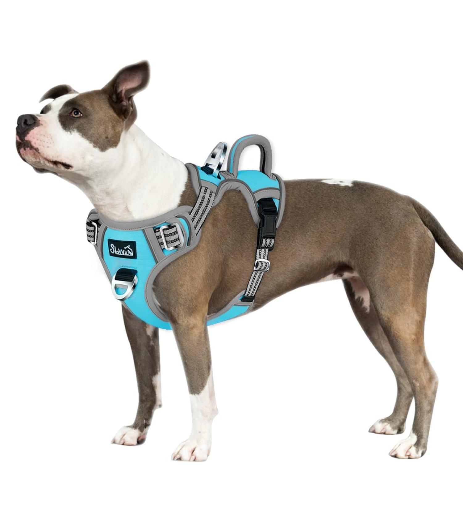 Eyin Adjustable Dog Harness for Large Dogs - Breathable Reflective Padded with Handle | Perfect for Daily Training (Blue L) - Buy Online on GoSupps.com