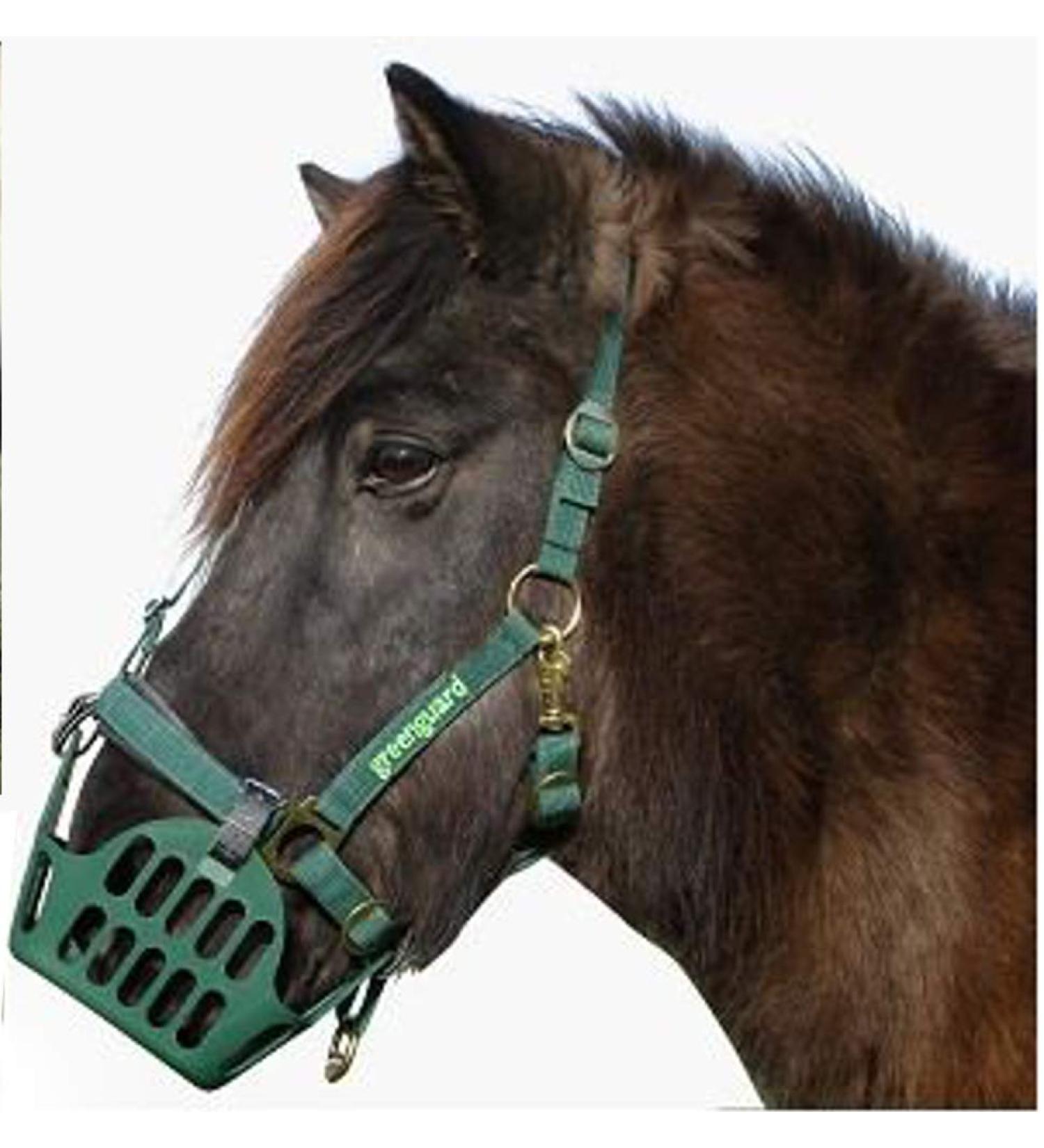 GREENGUARD Set - Anti-eating muzzle with halter WB
