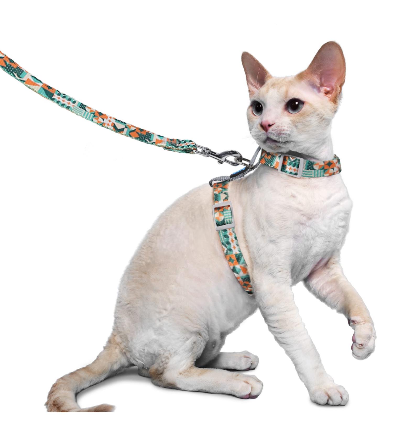 Supet Escape-Proof Cat Harness and Lead Set - Adjustable Lightweight Vest for Walking - Grey (M Size) - Ideal for Small to Large Cats - Buy Online on GoSupps.com