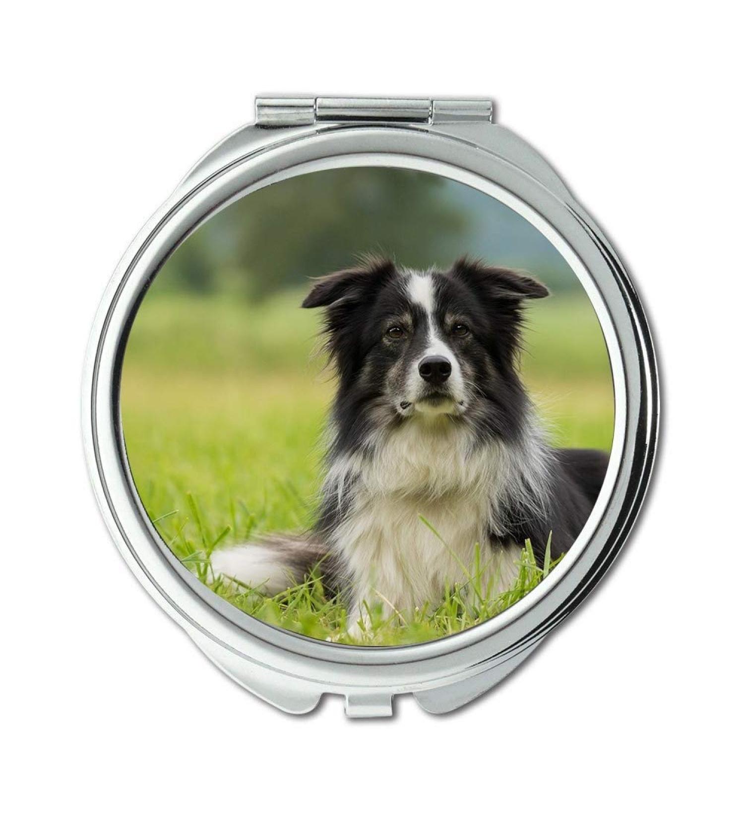 YENDOSTEEN Mirror Travel Mirror Border Collie Dog Collie British Sheepdog Border pocket mirror portable mirror - Buy Online on GoSupps.com