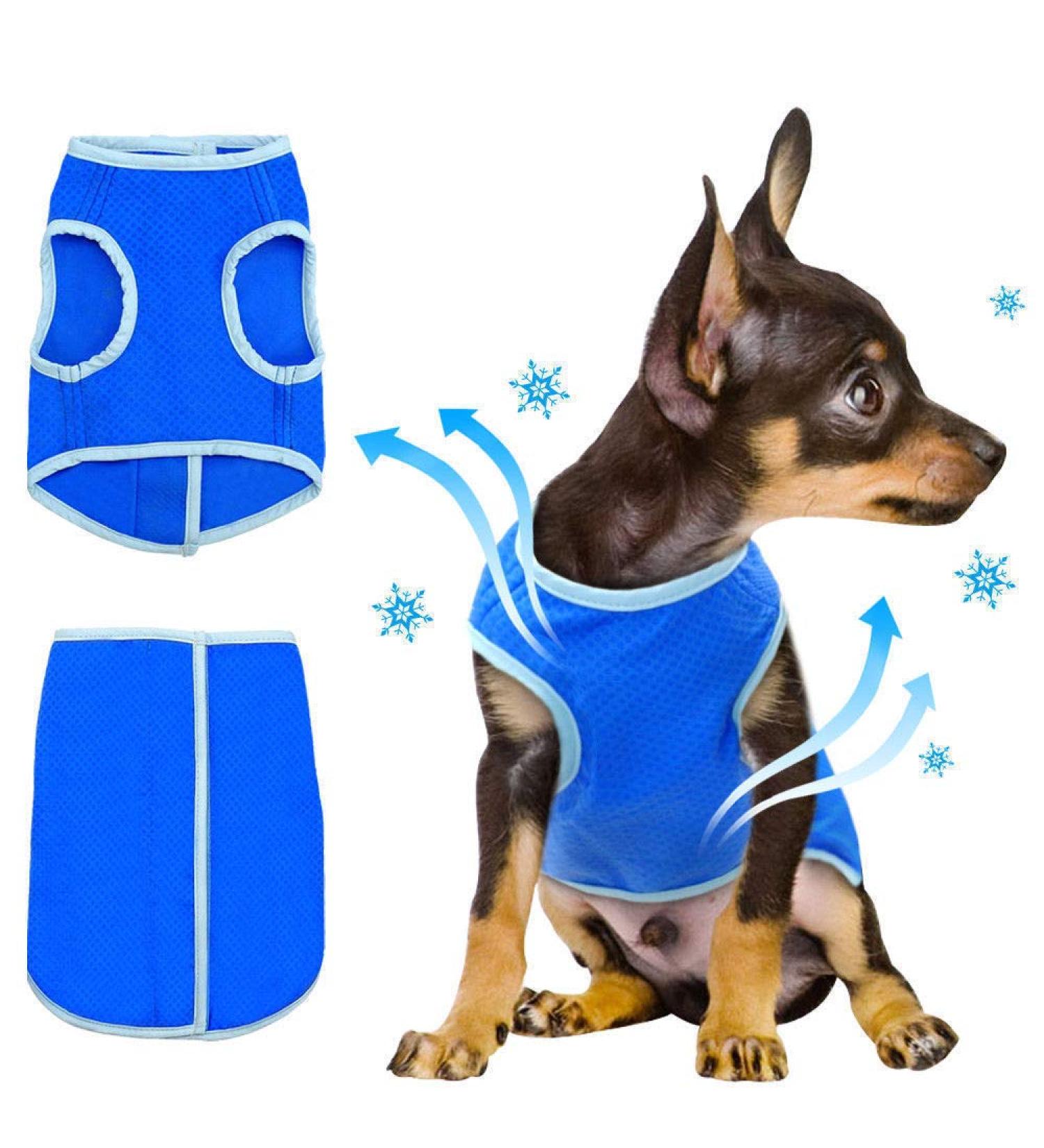 Crufts Pet Cooling Vest in Colour Box Small