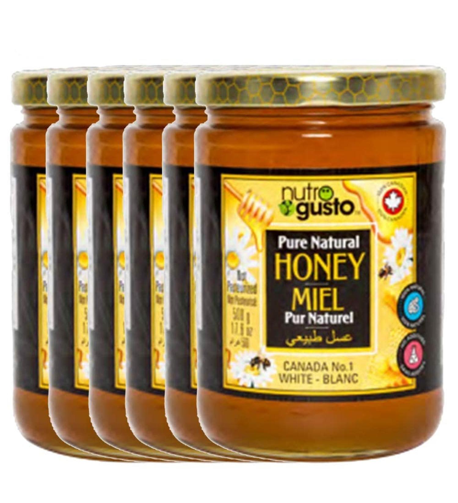 Nutro Gusto Pure Natural Honey 500g (Pack of 6)