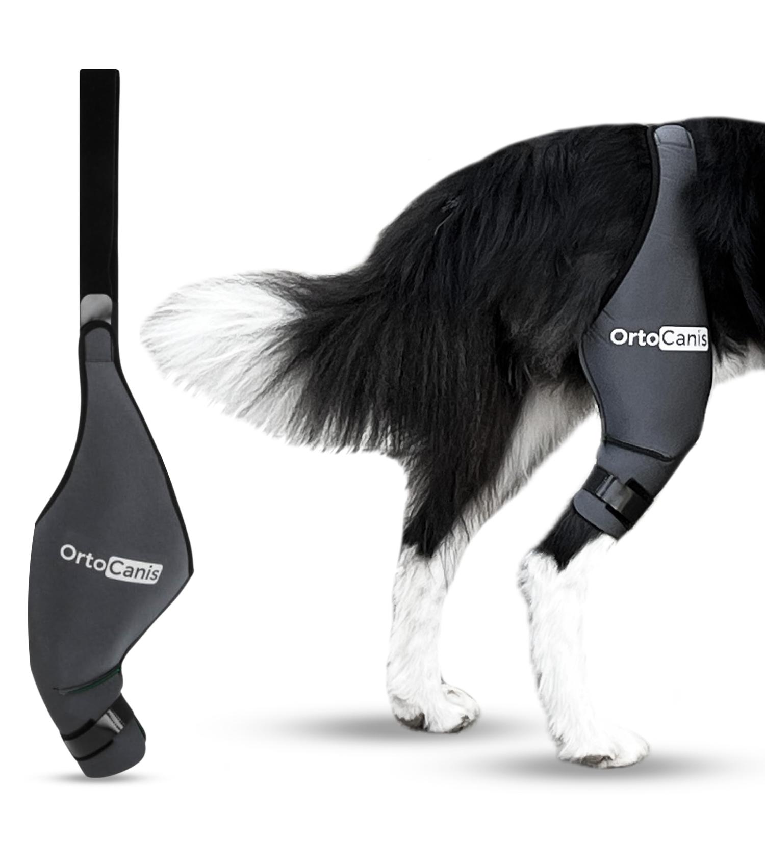 Ortocanis Knee Brace for Dogs - Right Hind Leg Size S | Cruciate Ligament Patellar Luxation & Osteoarthritis Support - Buy Online on GoSupps.com