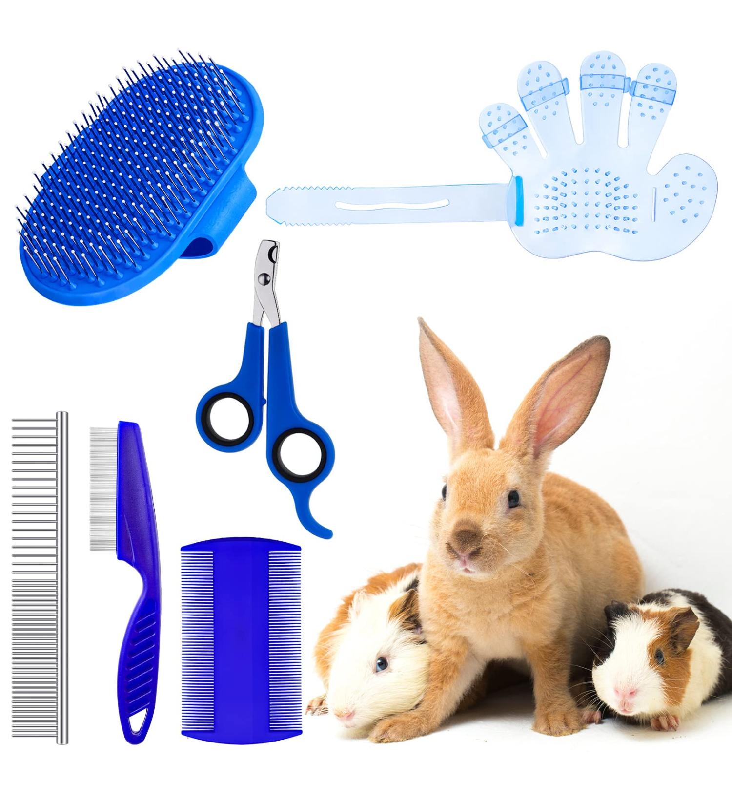 6-Piece Bunny Grooming Kit: Brush, Hair Remover, Shampoo, Bath Brush, Nail Clipper, Comb - Blue | For Bunny, Hamster, Guinea Pig - Buy Online on GoSupps.com