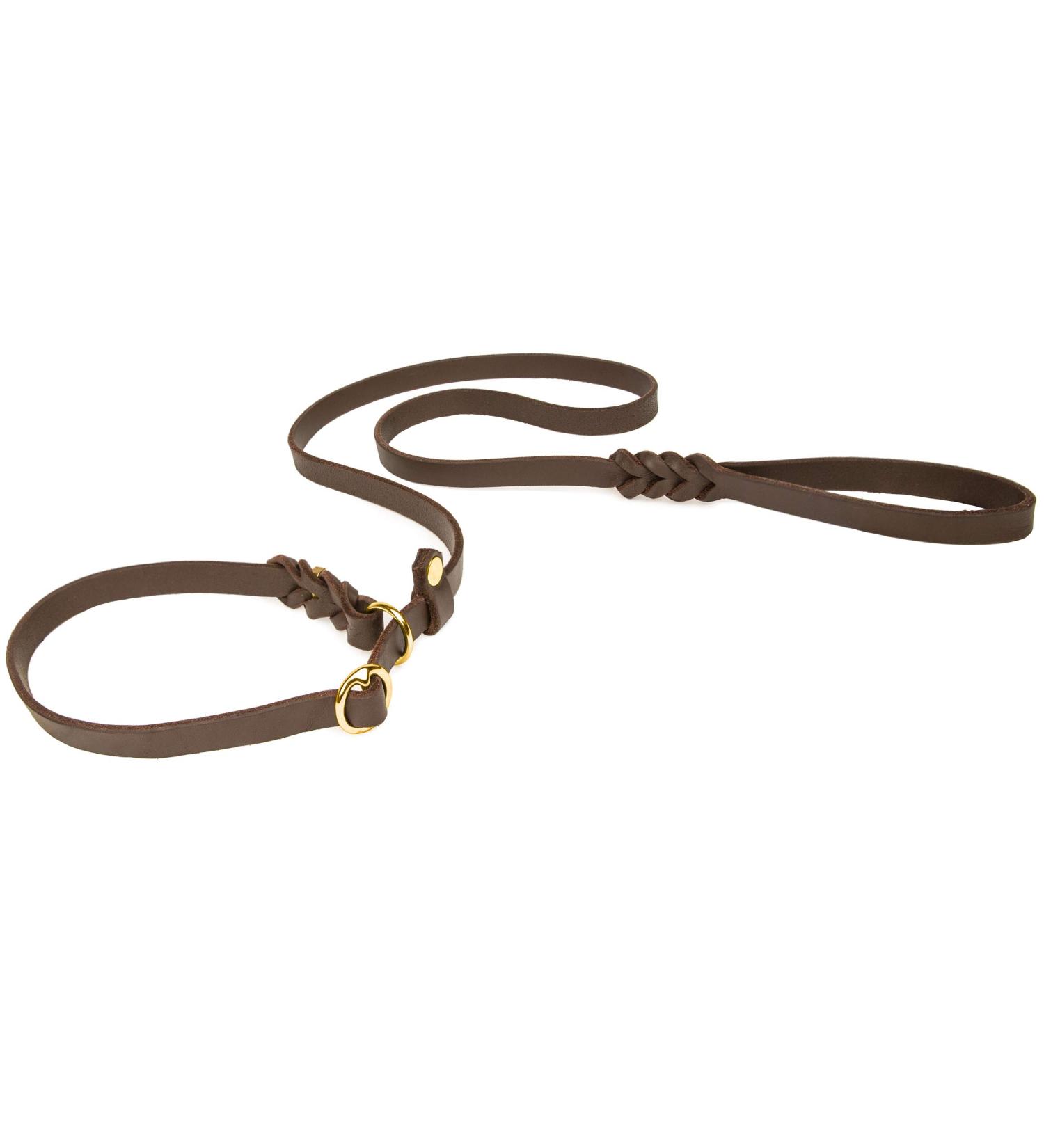 CopcoPet Retriever & Agility Dog Leash - Durable Fat Leather 1.60m x 18mm Brass Brown - Buy Online on GoSupps.com