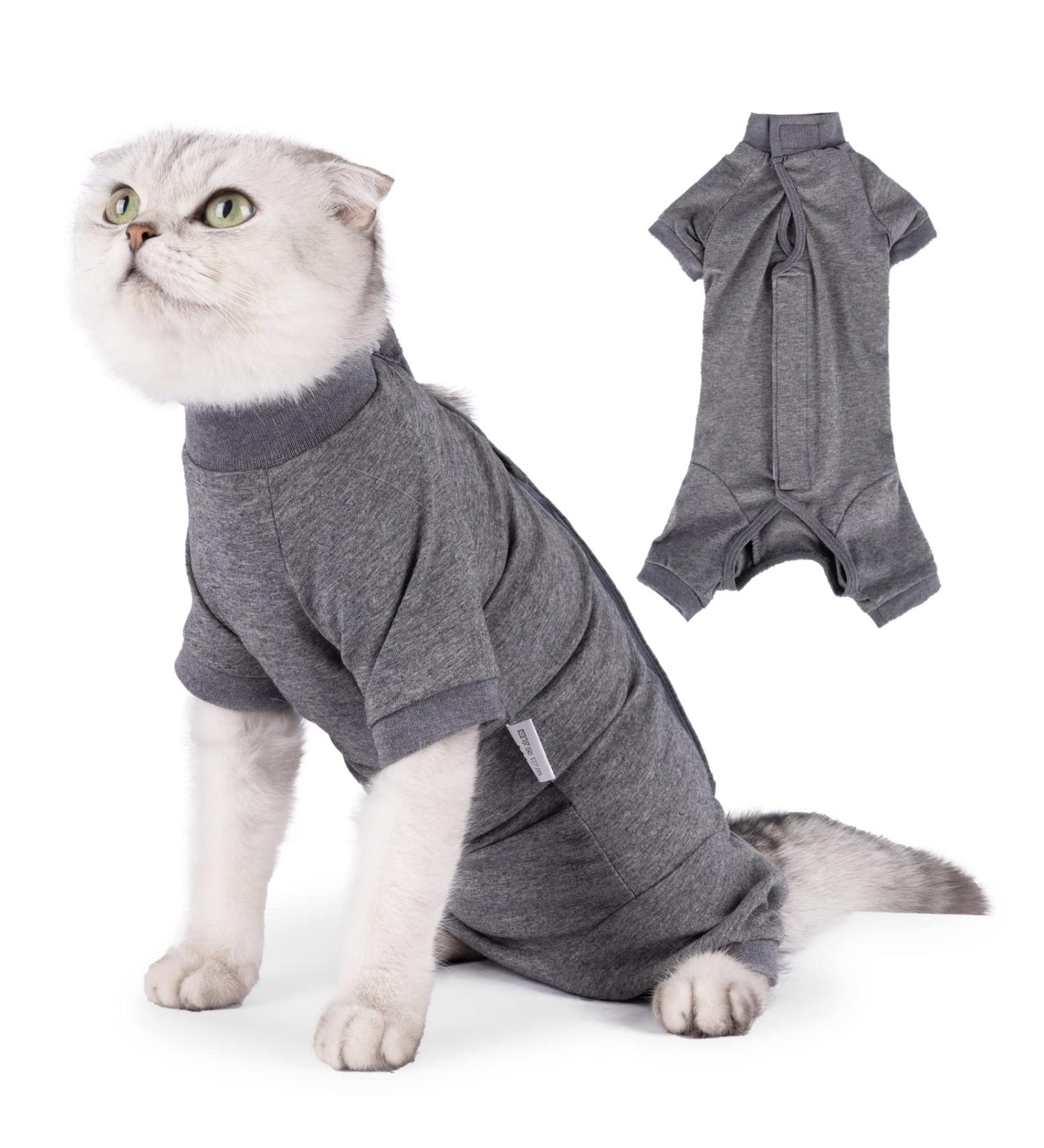 HEYWEAN Cat Professional Surgical Recovery Suit for Abdominal Wounds Skin Diseases  After Surgery Wear  E-Collar Alternative for Cats  Home Indoor Pets Clothing Medium Grey - Buy Online on GoSupps.com