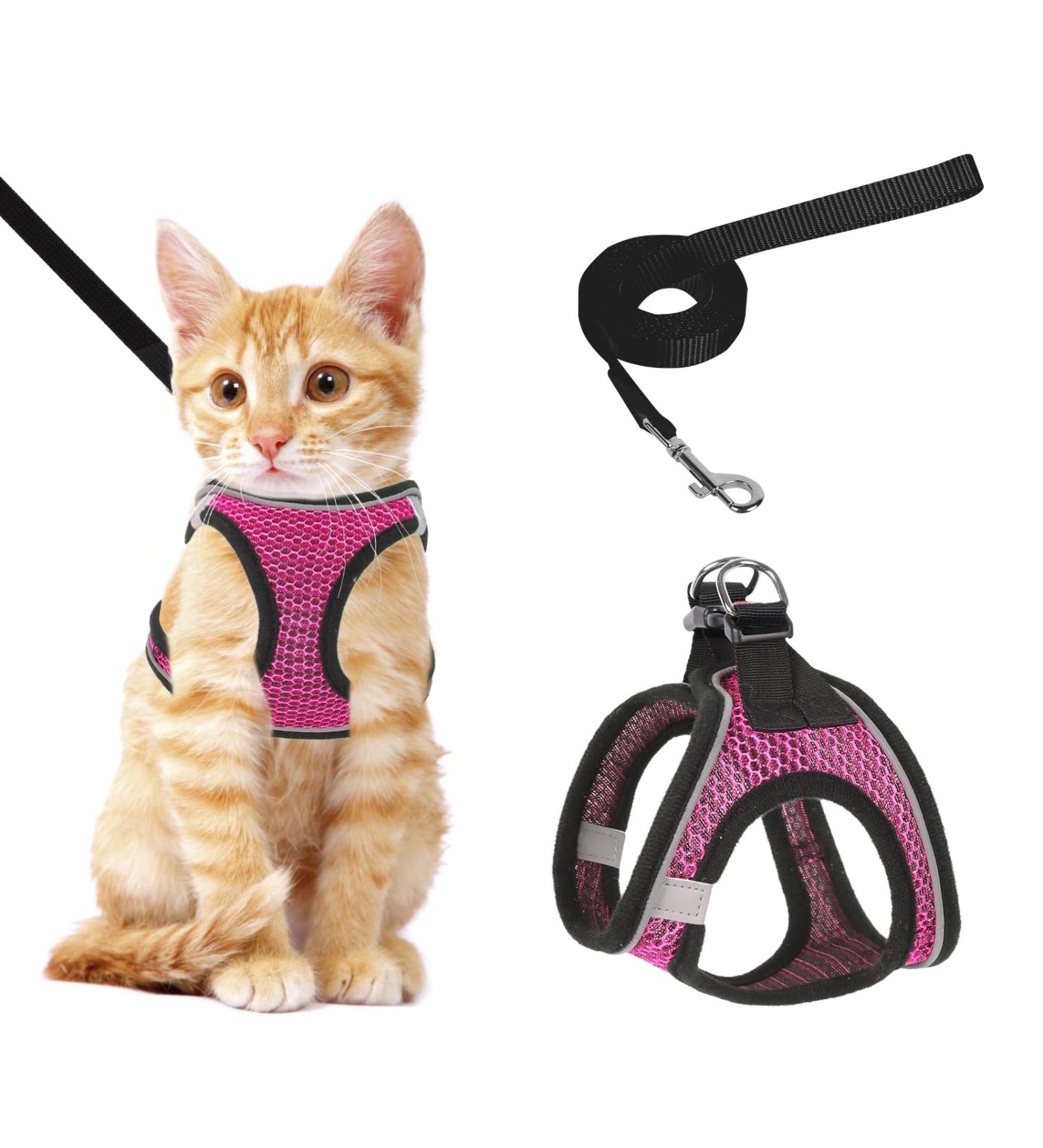 Shop Lollanda XS Pink Cat Dishes & Adjustable Soft Kitten Vest - Reflective Leash for Kittens | International Shipping Available - Buy Online on GoSupps.com