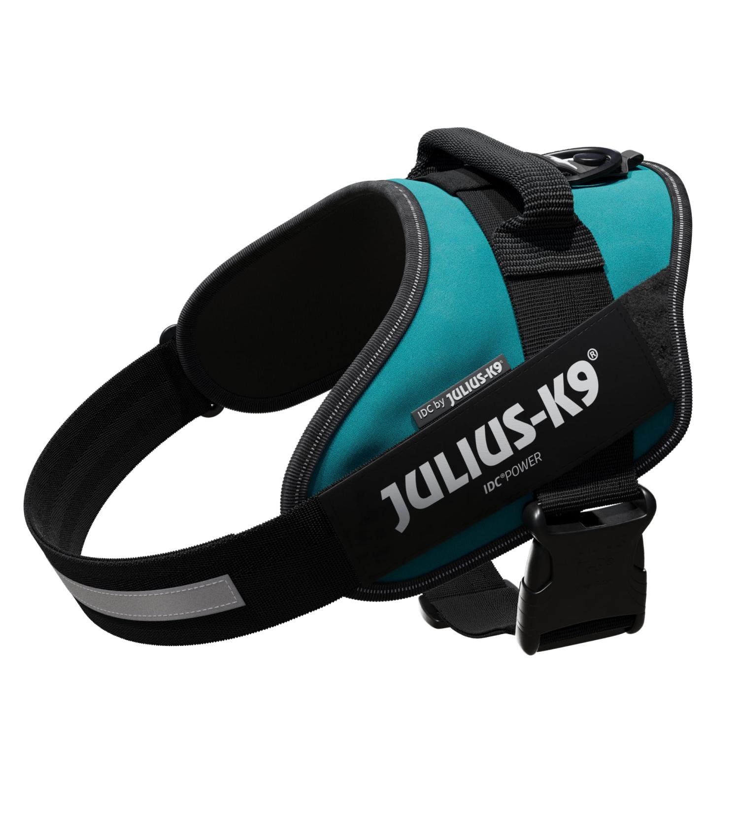 Buy IDC Powerharness L/1 - Petrol Green | Premium Pet Harness for Ultimate Comfort | International Shipping Available - Buy Online on GoSupps.com