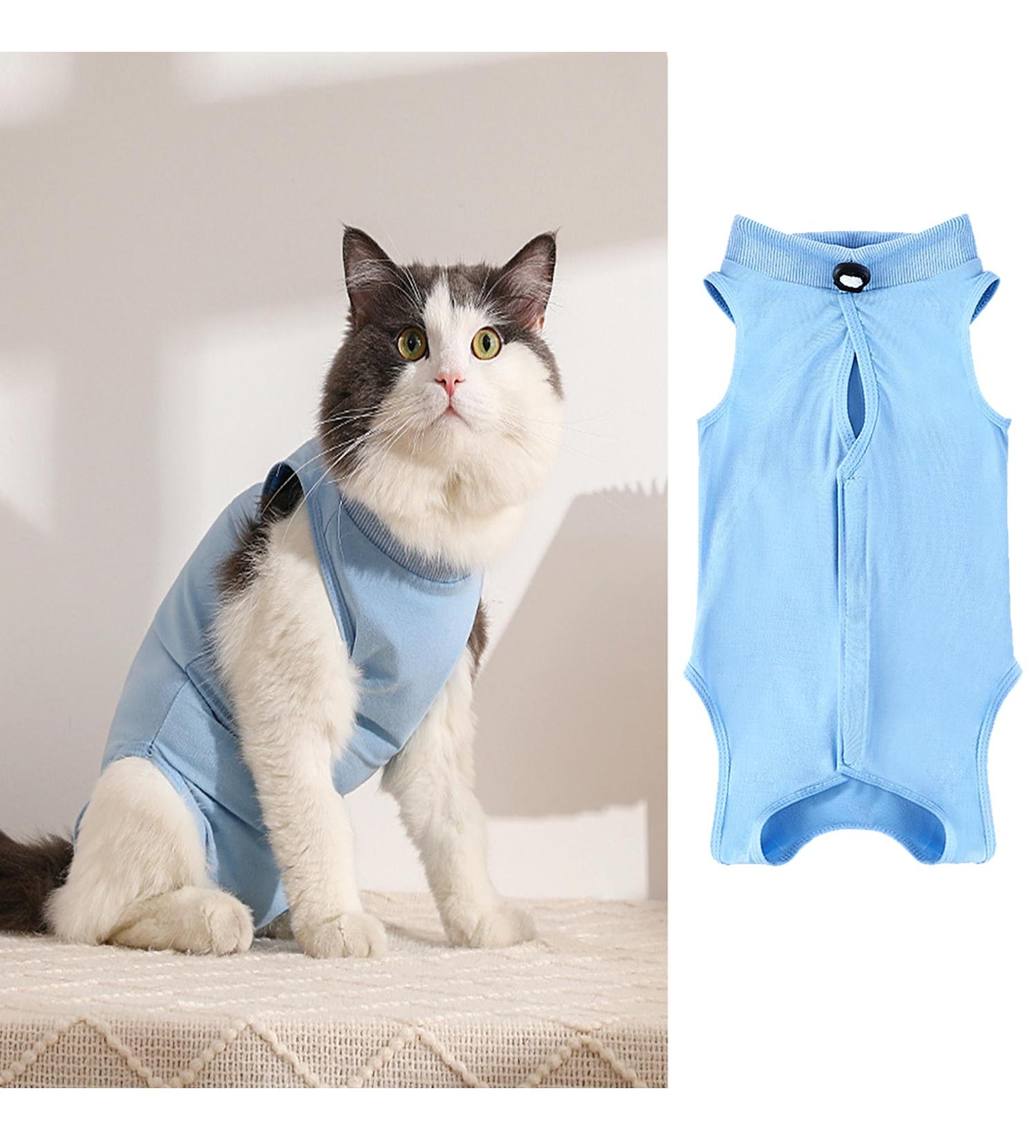 WDEC Katzenbody | After Op Anti-Trolling Cat Clothing for Skin Disease Recovery | E-Neck Band Alternative for Cats & Dogs - Size M Blue - Buy Online on GoSupps.com