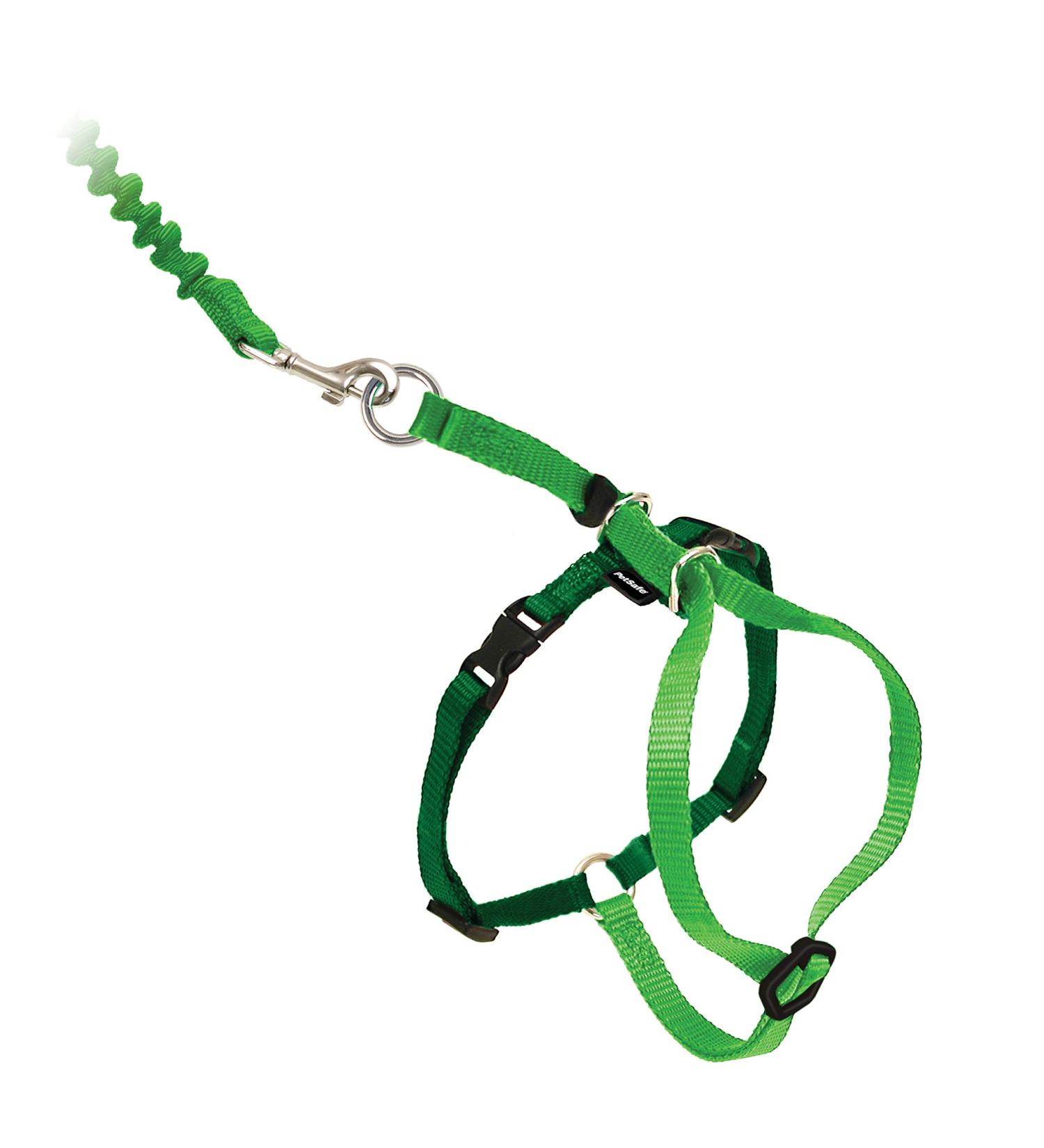 PetSafe Come with Me Kitty Harness & Bungee Leash - Medium Electric Lime Green | Ideal for International Pet Travel - Buy Online on GoSupps.com