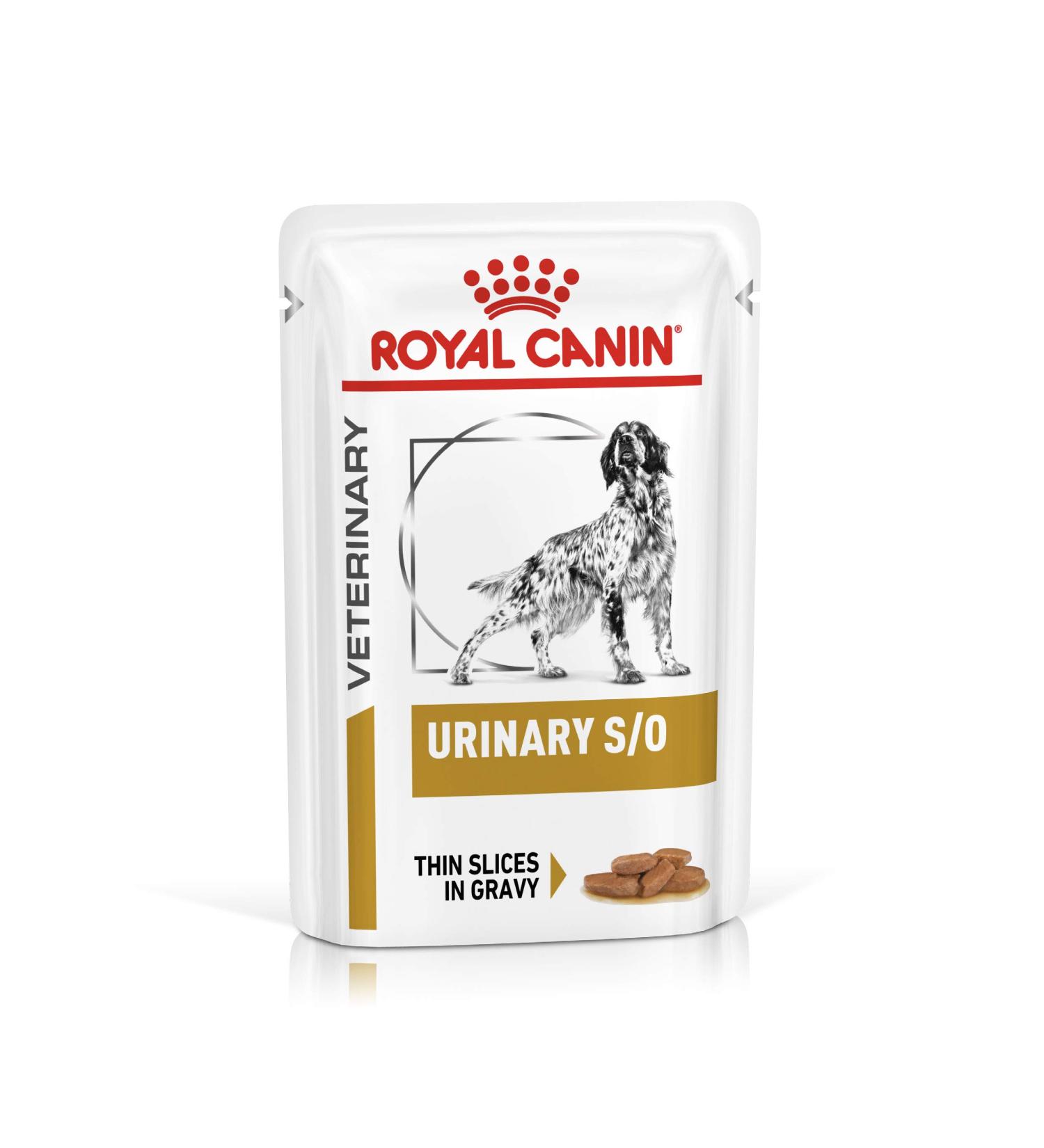 ROYAL CANIN Urinary S/O Veterinary Health Nutrition Dog Food 48 x 100g Wet Slices