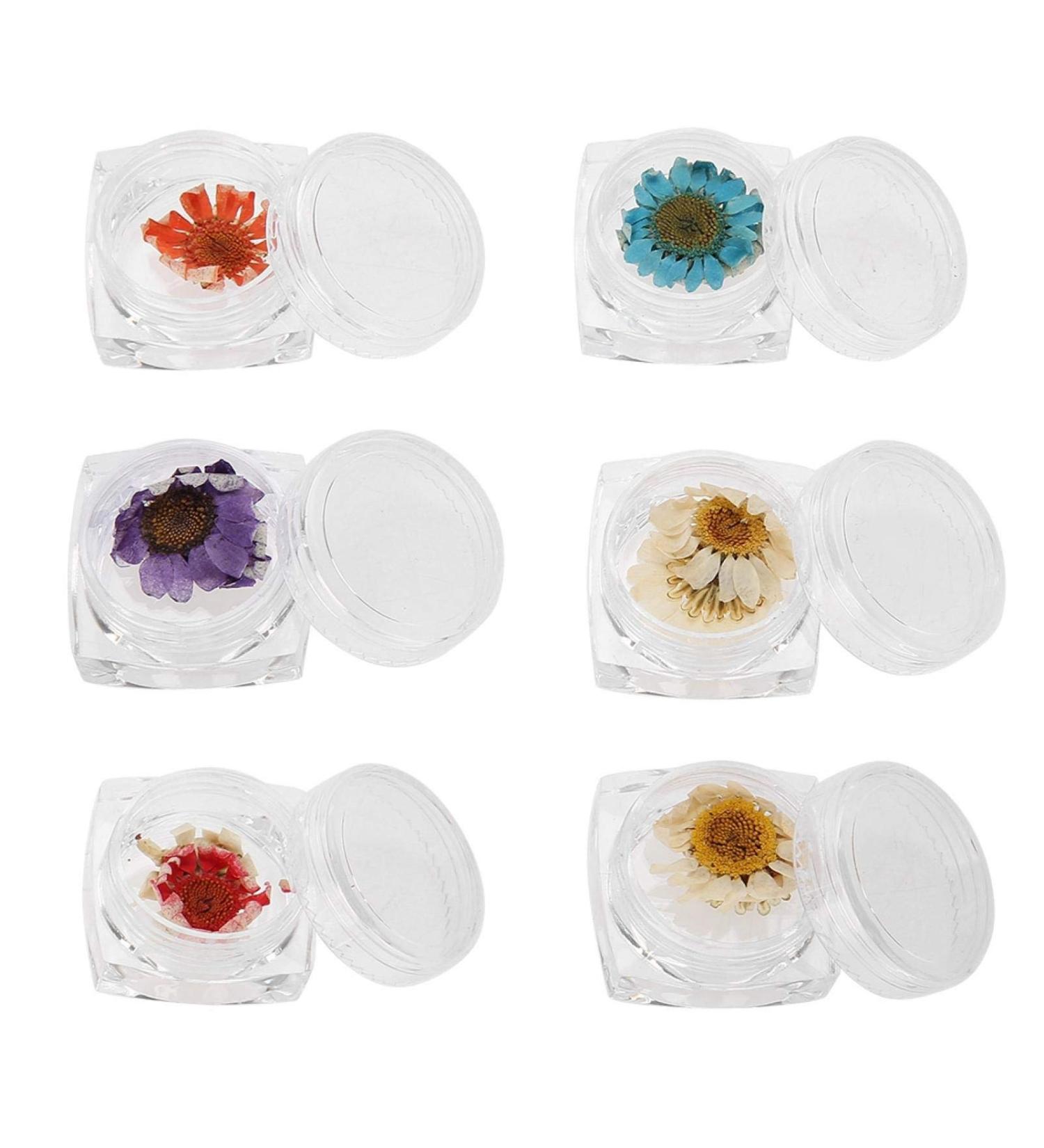 Nail Art Decor Soft And Safe Nail Dry Flower Decor Bright Colors Nail Decoration Natural Flower Perfect Choice Beauty Salon for Home Woman Manicure Store - Buy Online on GoSupps.com