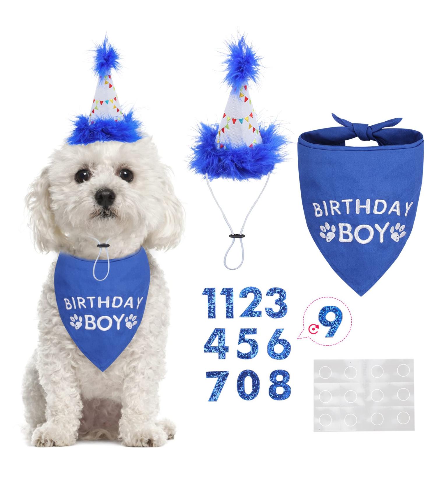 Dog Birthday Hat Bandana Set - Soft Birthday Boy Triangle Scarf and Number Hat  Cute Birthday Party Supplies with 0-8 Figures Blue - Buy Online on GoSupps.com