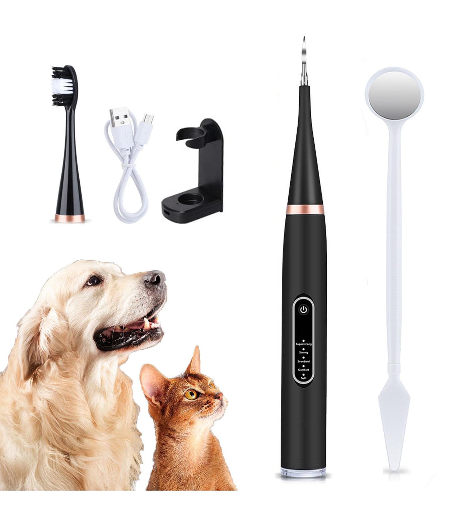 Canilab - Dental Scaler for Dogs Dog Plaque and Tartar Remover Dog Dental Cleaning Kit Equipped with 5 Adjustable Intensities (Black one Size) - Buy Online on GoSupps.com