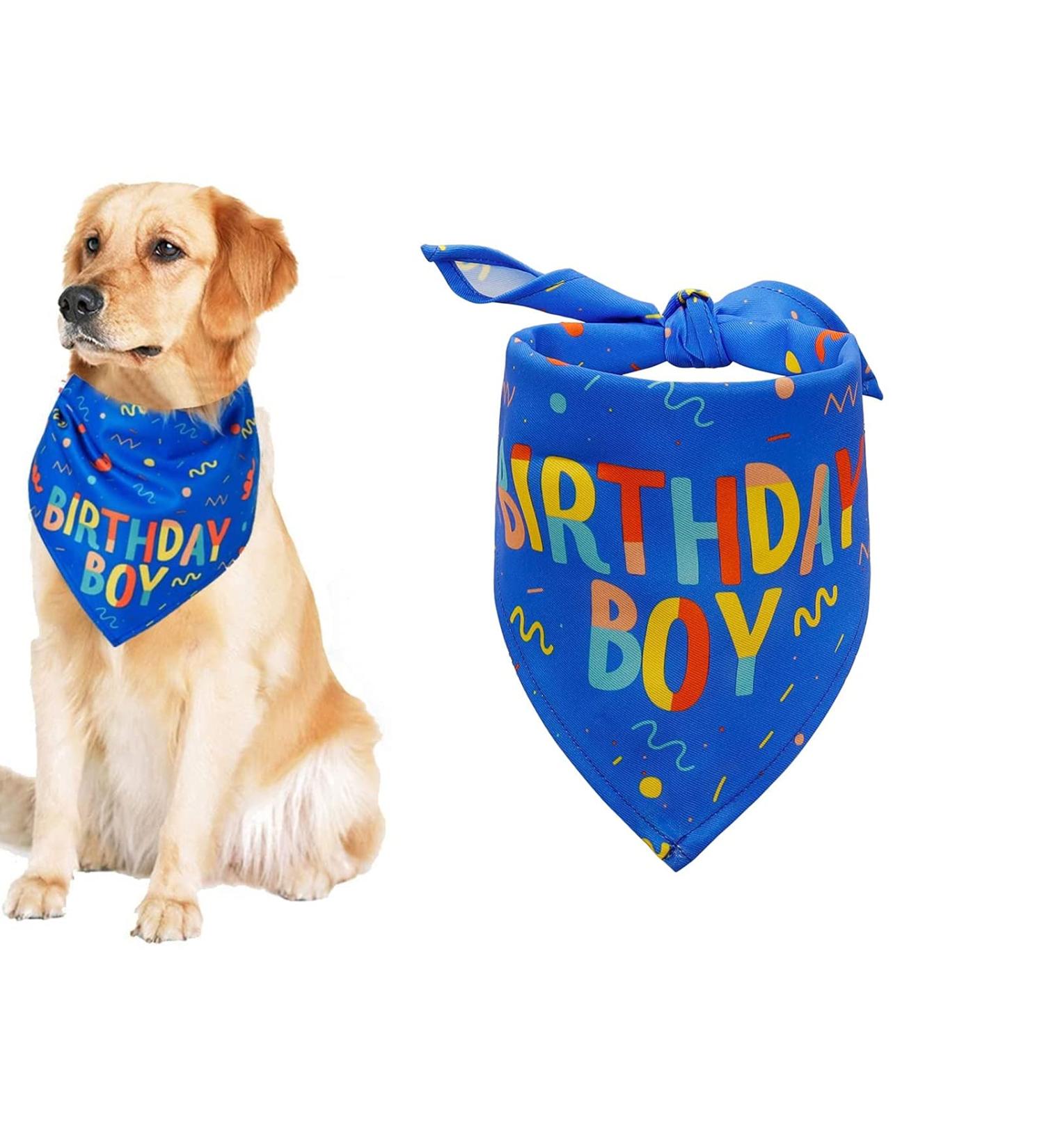 Blue Dog Birthday Boy Bandana for Small to Large Dogs - Puppy Party Scarf - Buy Online on GoSupps.com