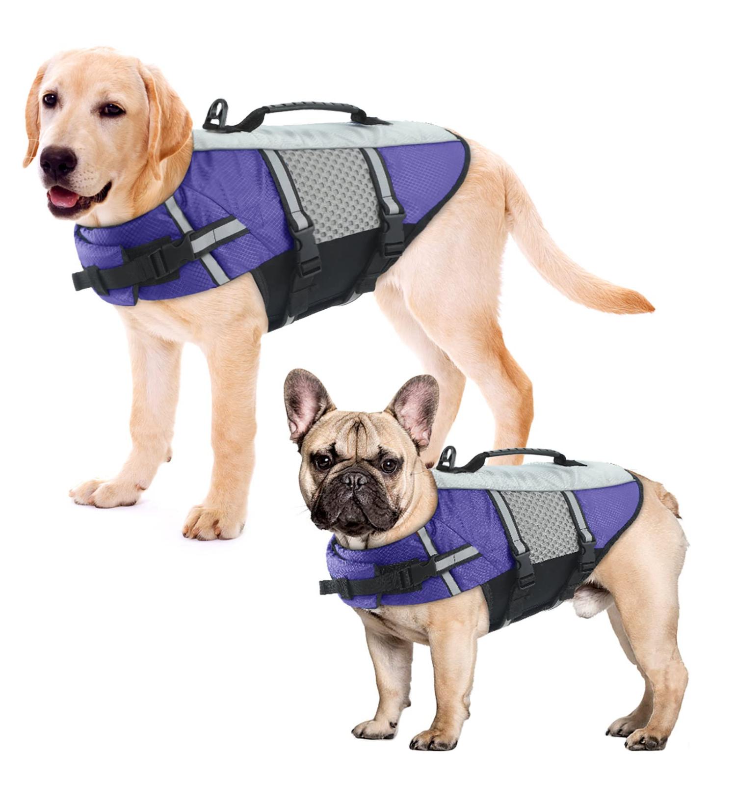 Alagirls Adjustable Dog Life Jacket - Ripstop Water Safety for Swimming & Boating | Purple Size S (40-50cm Chest) - Buy Online on GoSupps.com