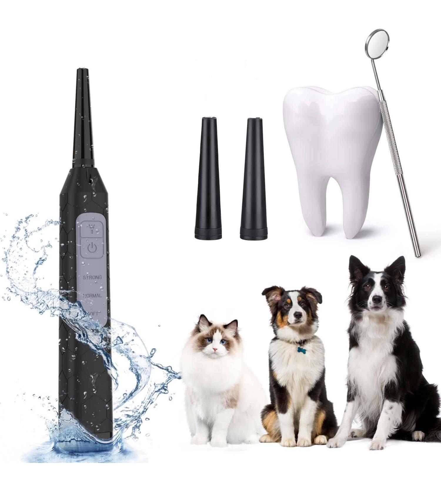 Dog Teeth Cleaning Tools with LED Light 3 Modes Dog Plaque Tartar Remover for Teeth Detachable Teeth Cleaning Kit for Dogs Cats Grey - Buy Online on GoSupps.com