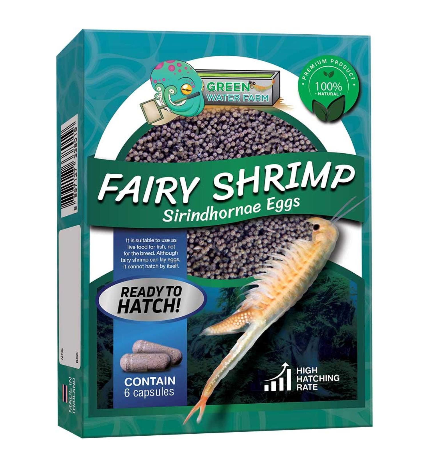 GreenWaterFarm Fairy Shrimp Sirindhornae Eggs Live Fish Food for Hatching and Culture Suitable for Feed Betta Fish - Buy Online on GoSupps.com