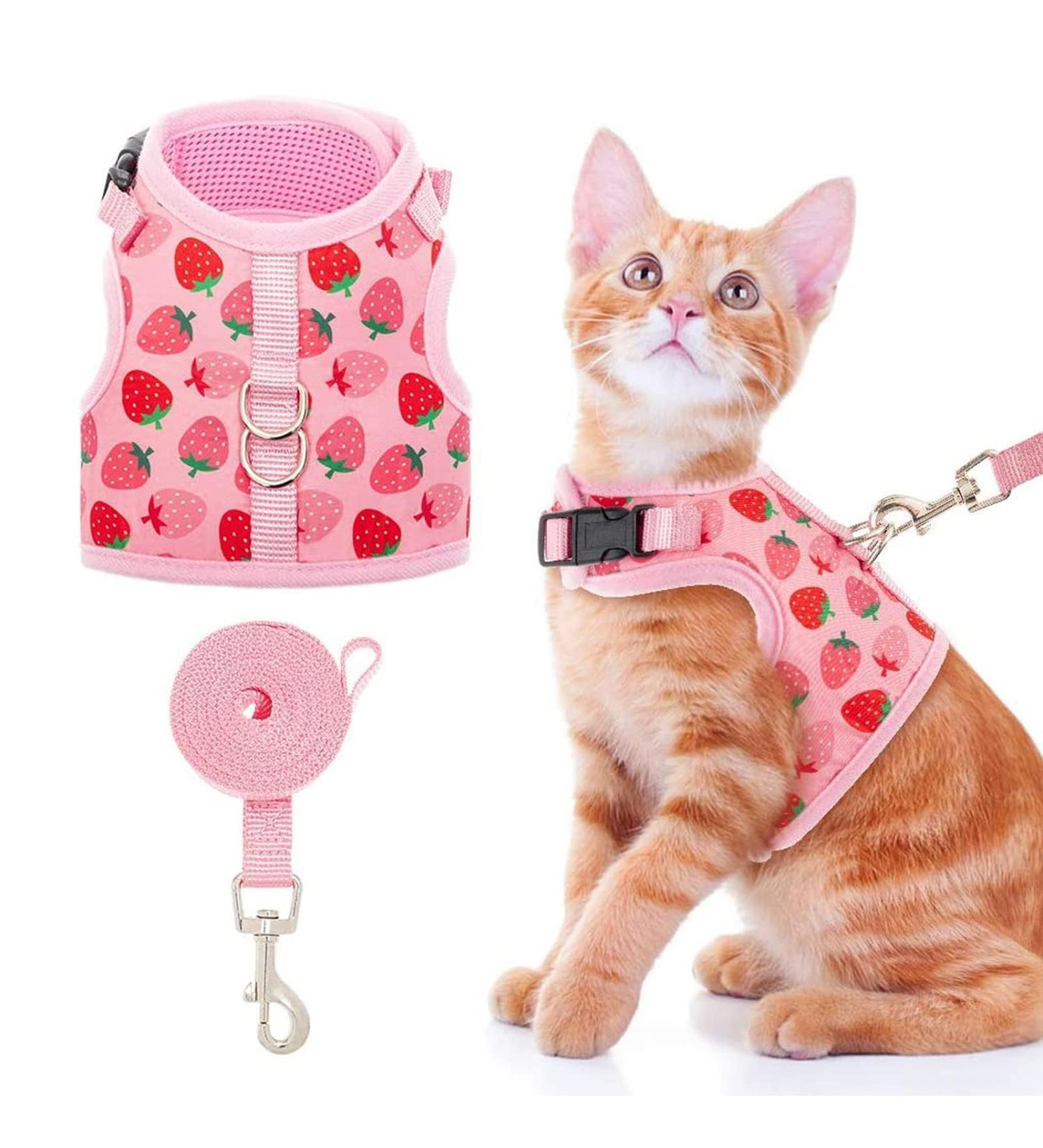 BINGPET Cat Harness with Leash Escape Proof - Fashionable Mesh Cat Dog Walking Harness Leads Adjustable for Kitties Puppies Large Animals Strawberry Large - Buy Online on GoSupps.com