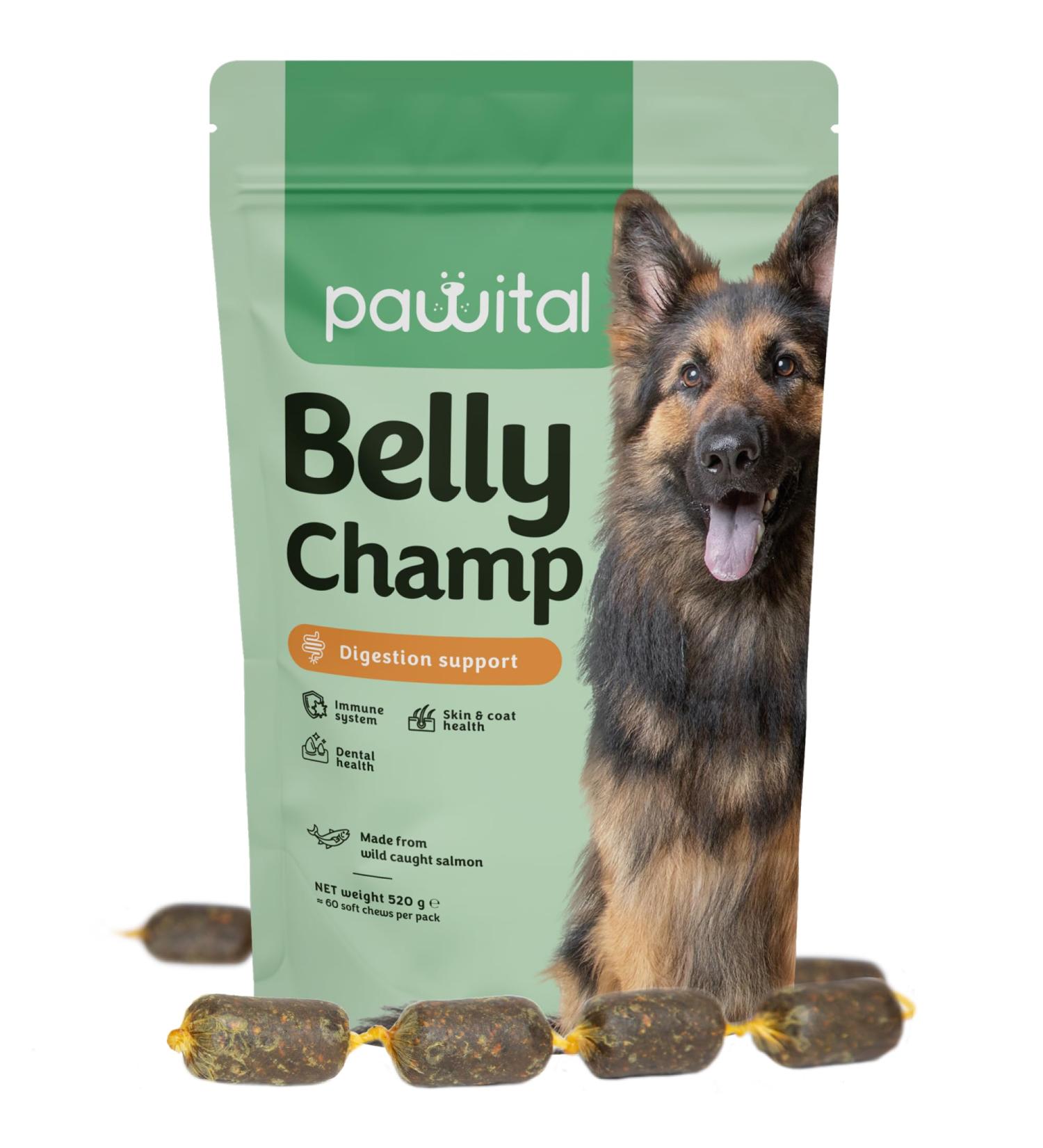 Pawital Belly Champ - Natural Salmon Dog Treats with Probiotics | 60 Healthy Snacks for Digestion & Immunity | Human Quality - Buy Online on GoSupps.com