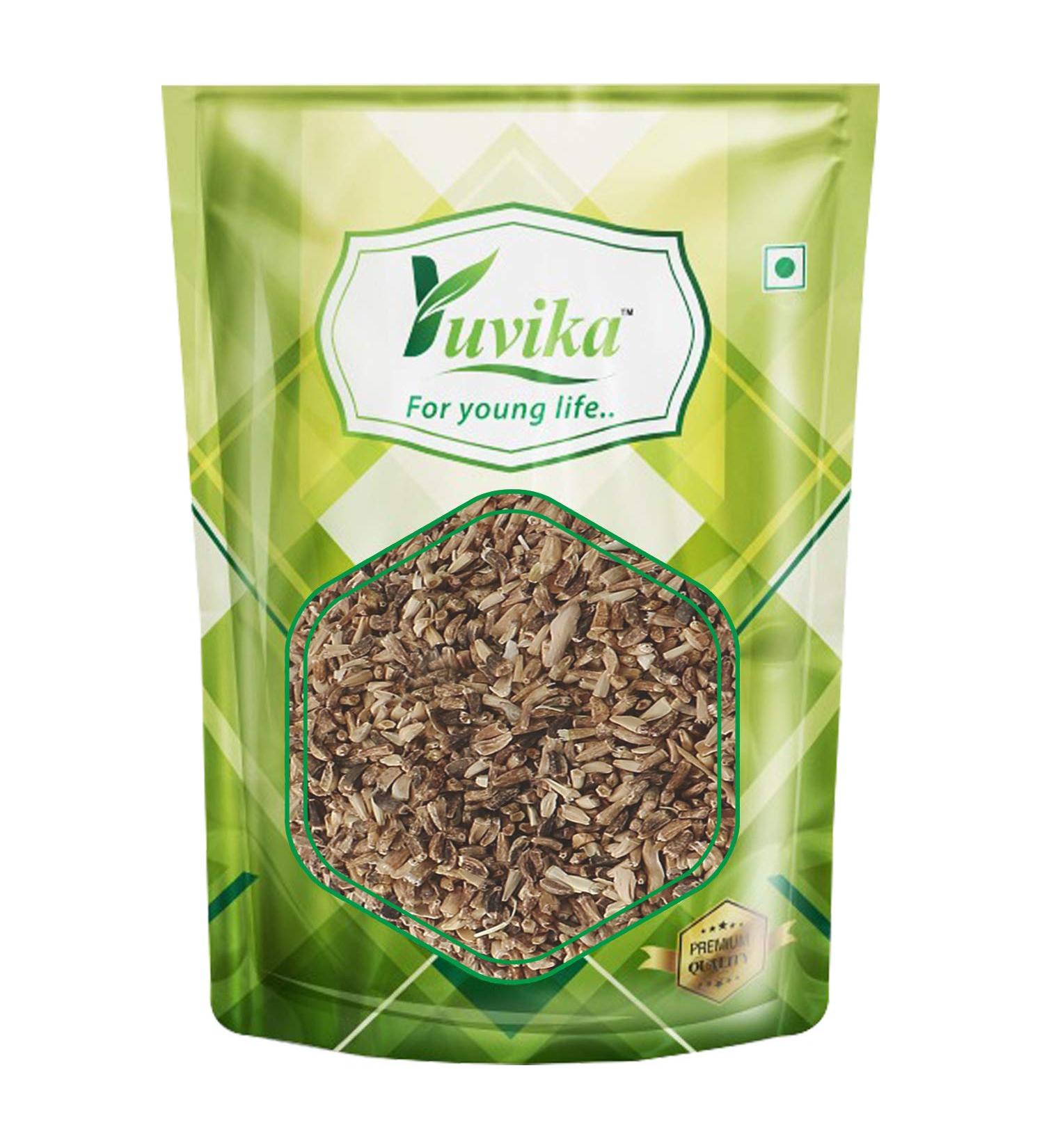 YUVIKA Kasni Seeds - Cichorium Intybus - Endive | Chicory (400g) - Buy Online on GoSupps.com