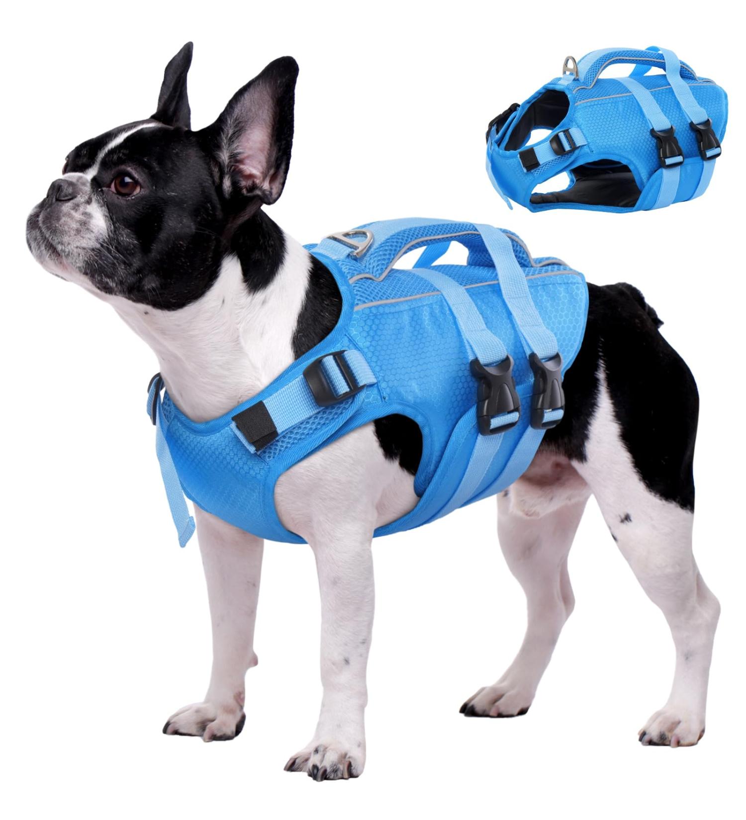 Buy Kuoser Adjustable Ripstop Dog Lifeguard Vest for Small & Large Dogs High Swim Capacity Perfect for Beach Adventures - Buy Online on GoSupps.com