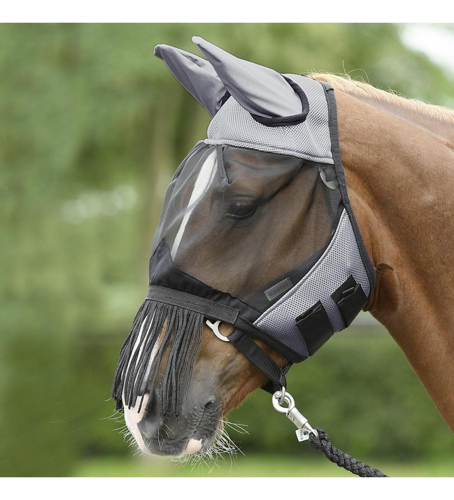 Buy BUSSE Fly Mask Fly Cover FRANSEN - Grey/Black for Thoroughbreds | International Shipping Available - Buy Online on GoSupps.com