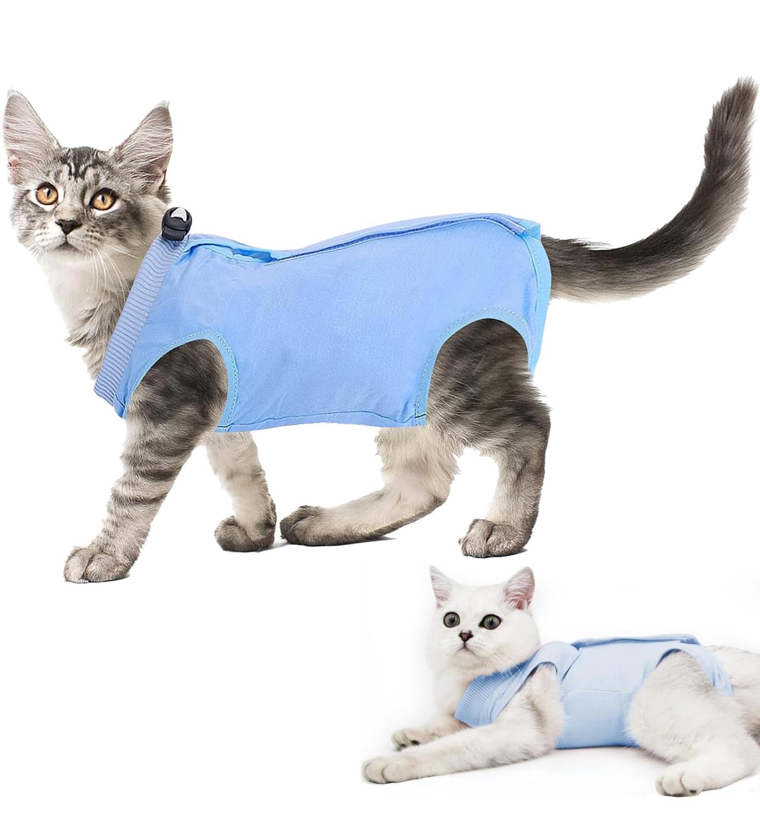 Cat Recovery Suit Cat Professional Surgery Recovery Suit E- Collar & Cone Alternative Cat Post Surgery Suit for Abdominal Wounds or Skin Diseases (Blue L Size) - Buy Online on GoSupps.com