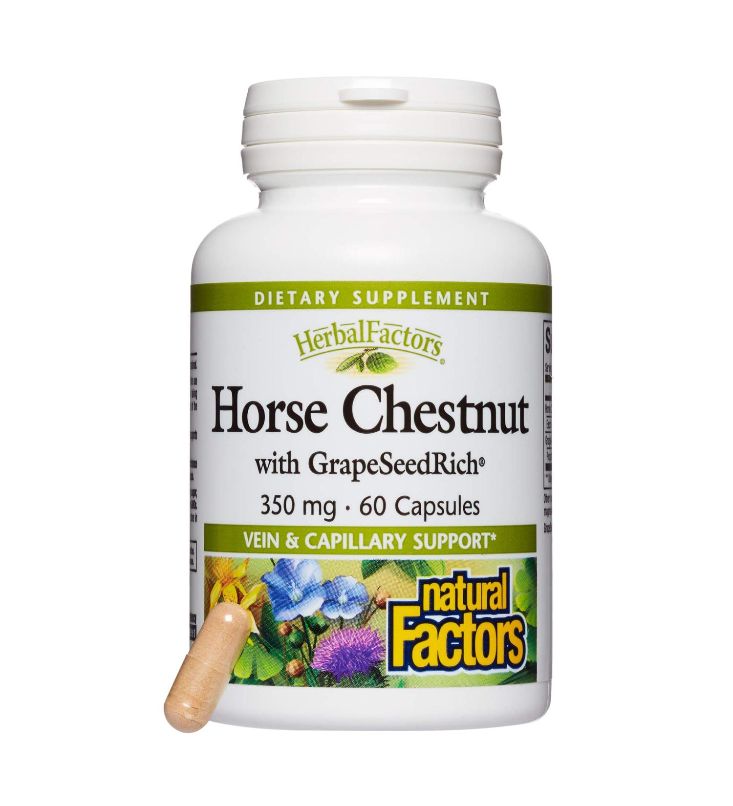 Natural Factors Horse Chestnut with Grape Seed Extract 350 mg - 60 Capsules for Healthy Circulation - Buy Online on GoSupps.com