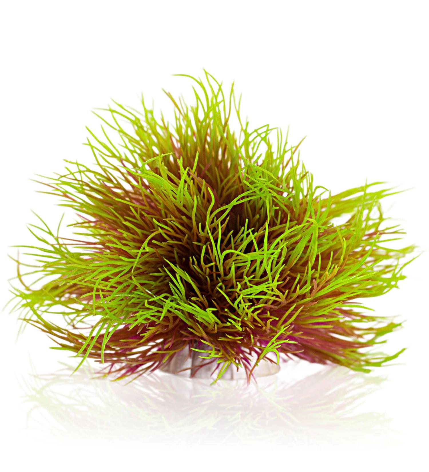 Buy TAOMYPETS Pink Yellow Plastic Aquarium Plants & Coral Reef Ornaments - Best Aquarium Decor for International Shipping - Buy Online on GoSupps.com