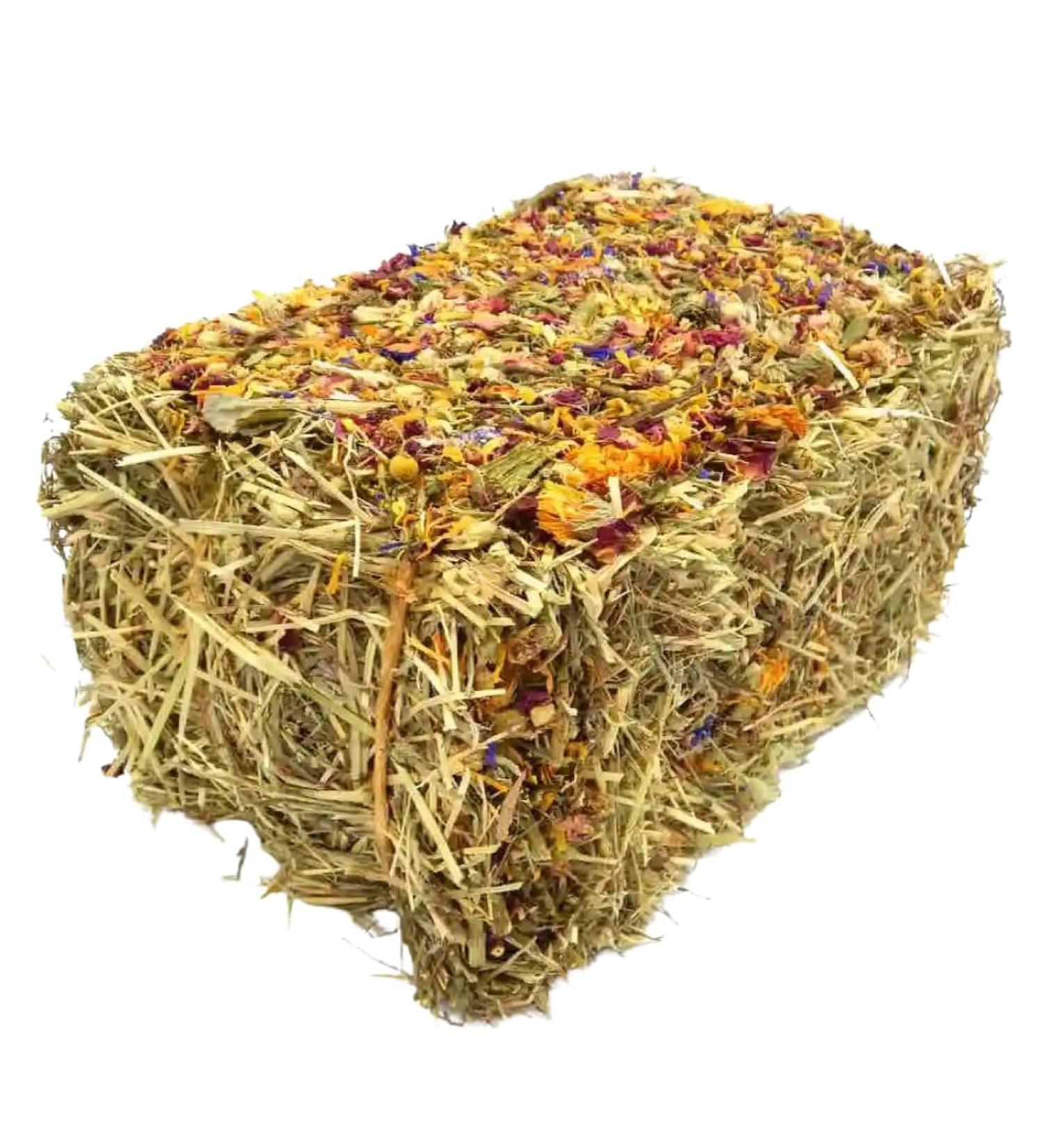 Springtime Forage Infused Baby Hay Bale for Rabbits and Guinea Pigs Fresh Fragrant Green Feeding Timothy Hay Dust Free High Fibre Dried Forage - Buy Online on GoSupps.com