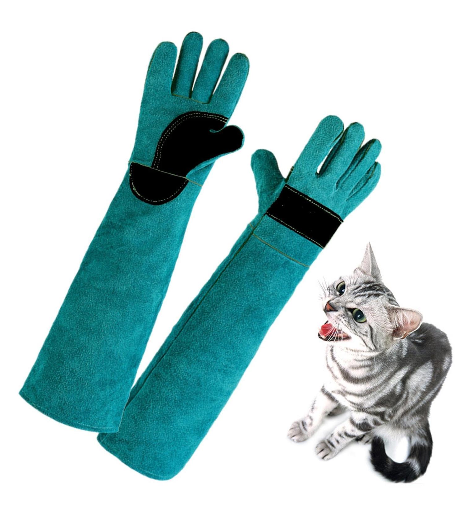 60 cm Cat Gloves Grooming | Cat Glove Bite Resistant Gloves for Handling Animals | Gloves for Handling Animals | Scratch-Resistant Protective Gloves for Training 60cm-green - Buy Online on GoSupps.com
