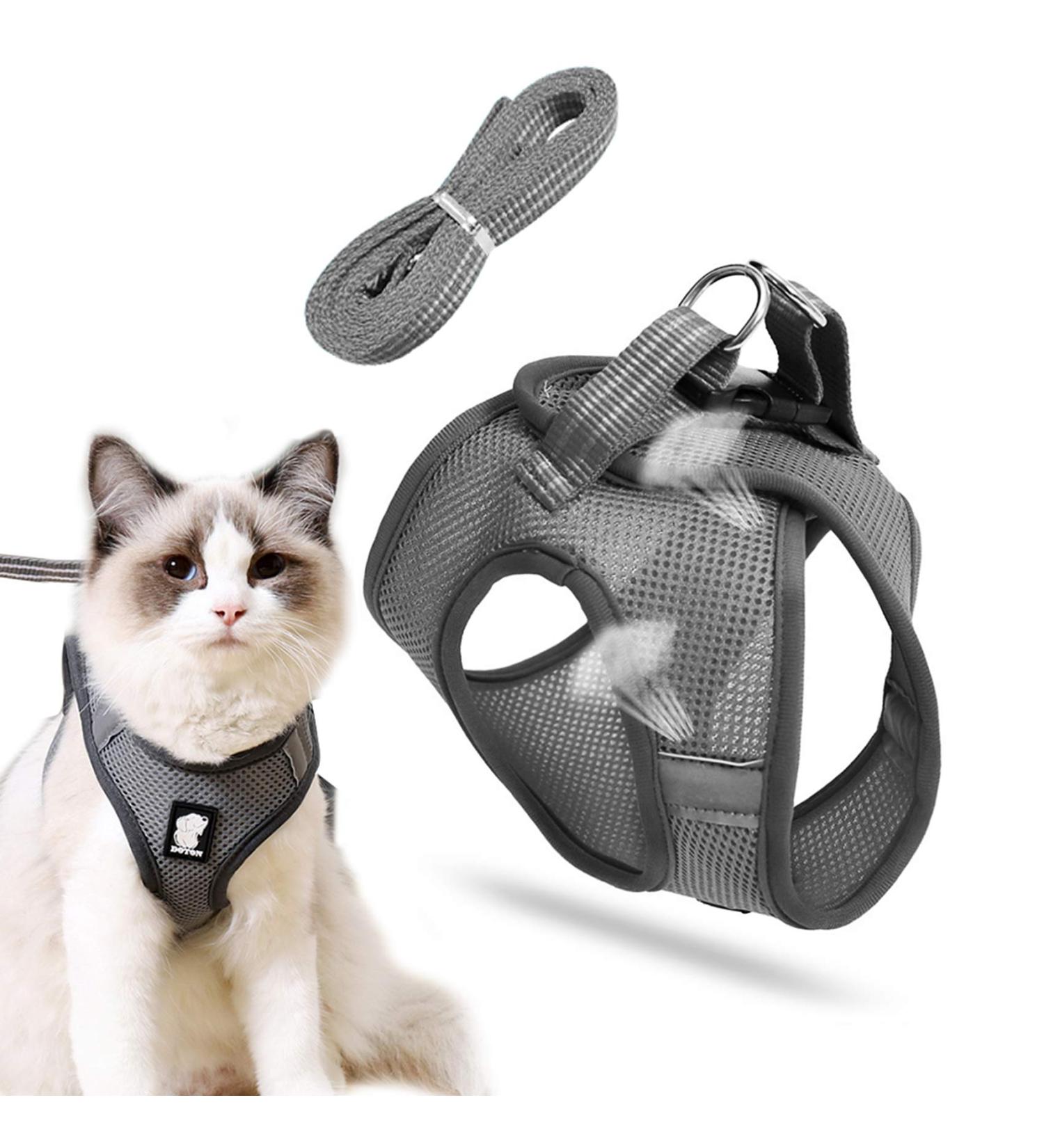 Buy Cat Dishes & Harness Set | Outdoor Leash & Bowls for Cats & Dogs - International Shipping - Buy Online on GoSupps.com