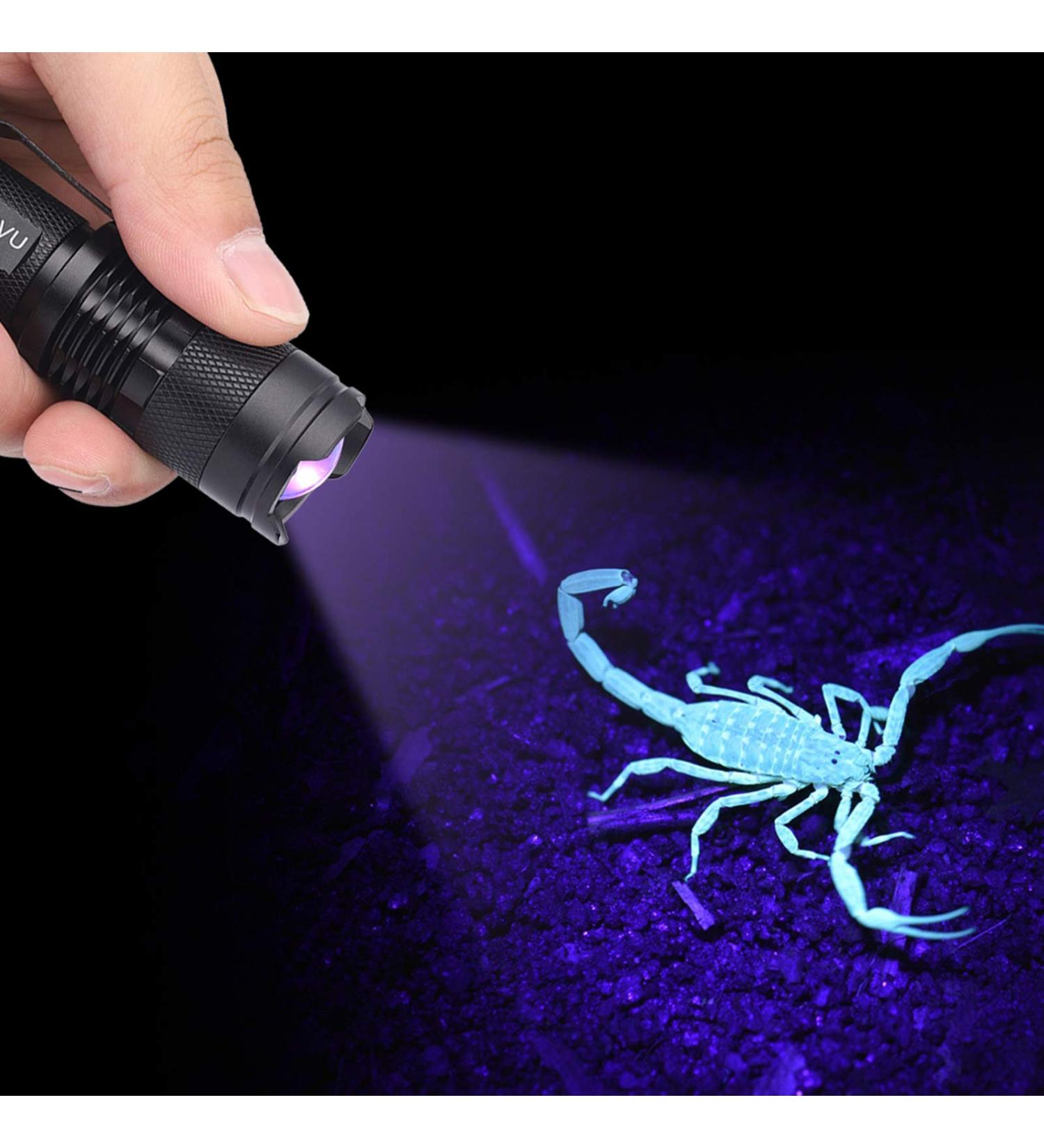 Zerodis Purple Flashlight - 395/365 Nm Black Light for Pets & Invisible Ink Detection | Portable UV Light for Urine Stains & Mini-Tubes - Buy Online on GoSupps.com