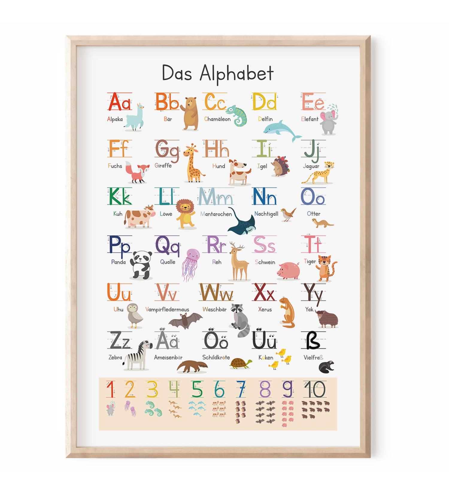 Meinbaby123 XL ABC Learning Poster for Kids | A-Z Letters Sound | Educational Alphabet Poster for Kindergarten Preschool & Elementary School | A2 Size Animal Theme - Buy Online on GoSupps.com