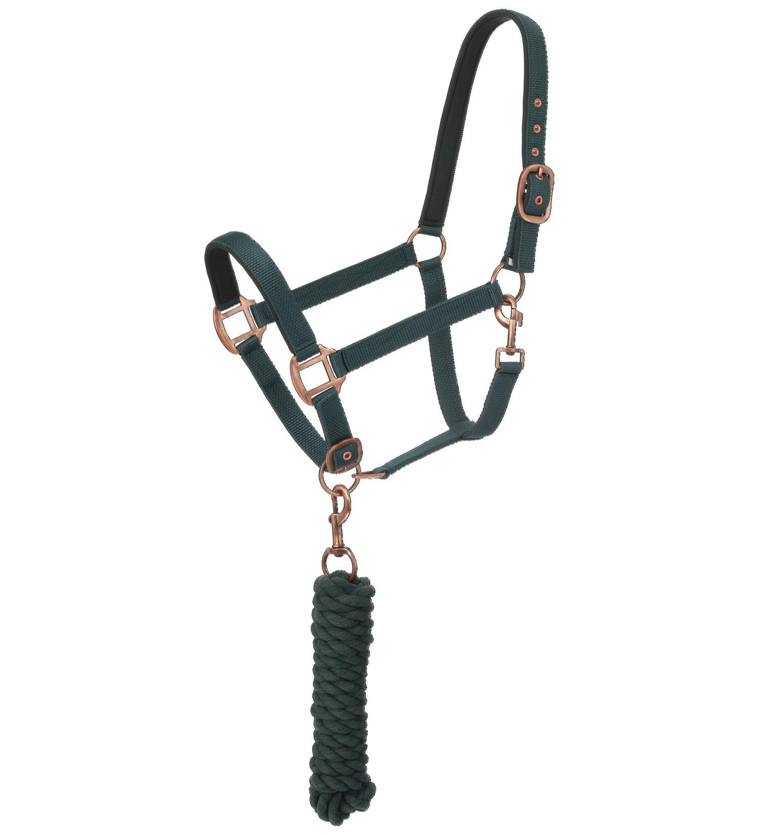 Tough 1 Neoprene Padded Halter with Antique Hardware Lead Set Green/Hunter