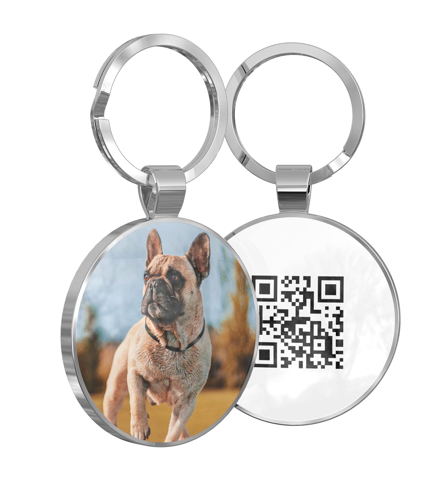 DISONTAG Personalized QR Code Dog ID - Customizable Online Profile | Secure Pet Privacy Control - Buy Online on GoSupps.com